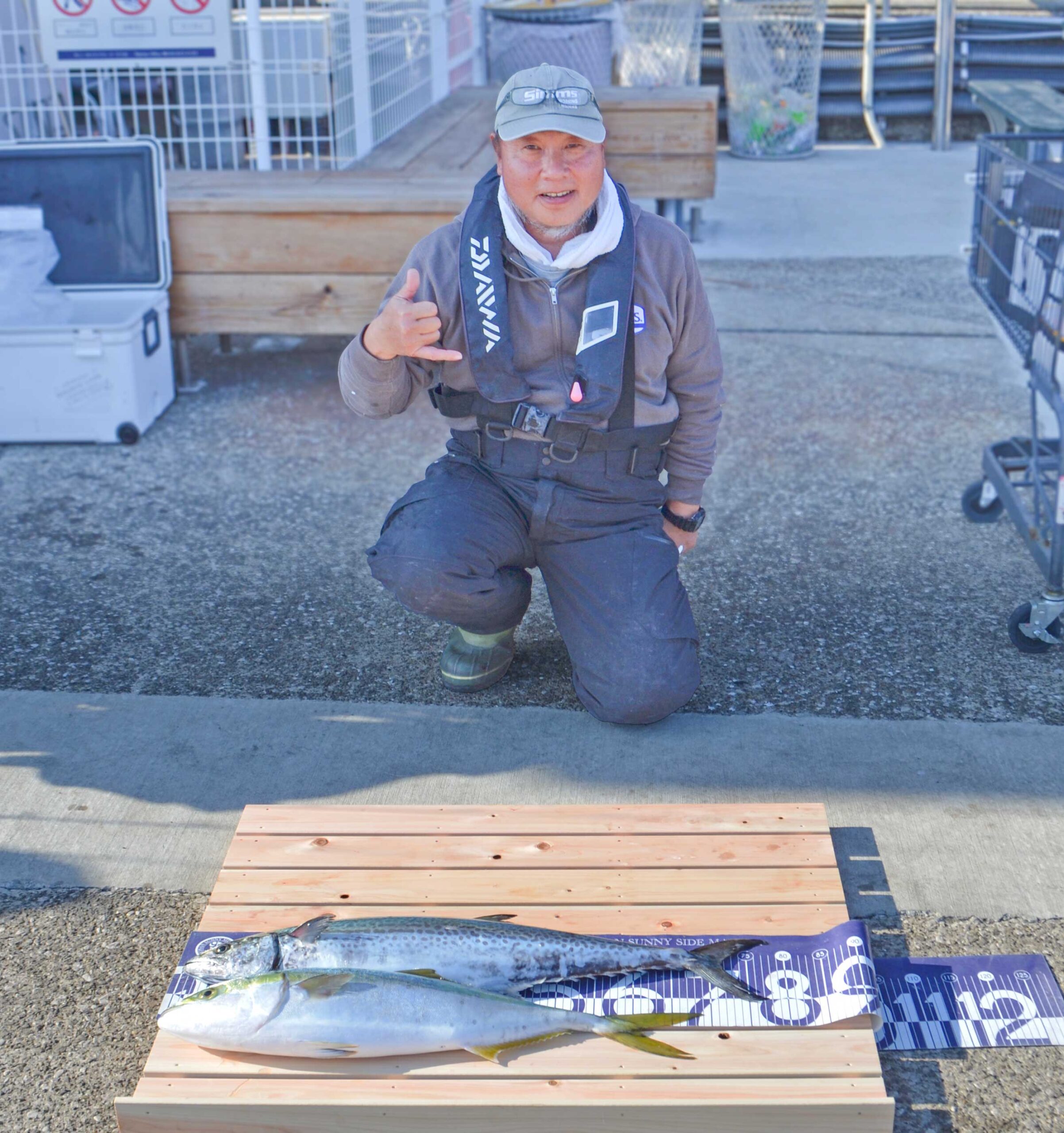 ✿ワラサ・サワラ✿