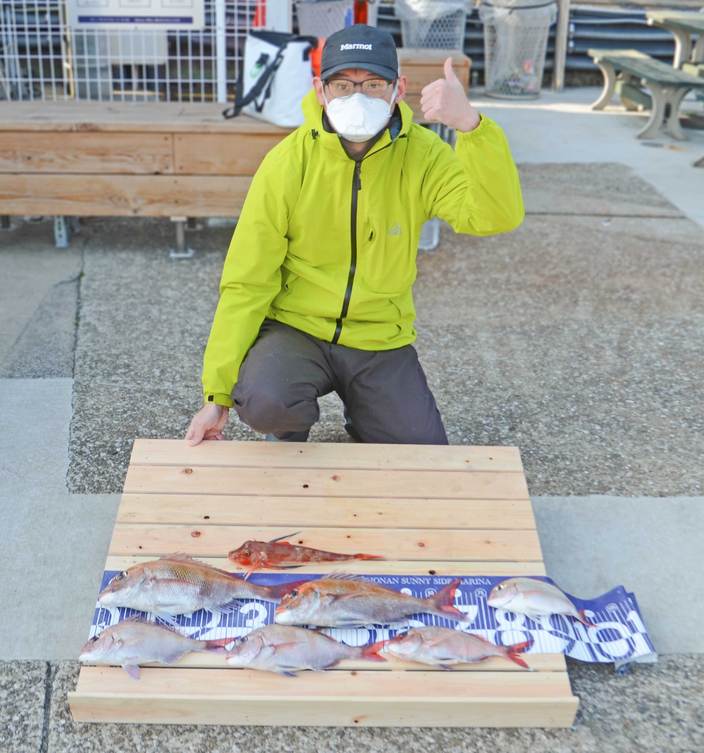 ✿マダイ・チダイ・ホウボウ✿