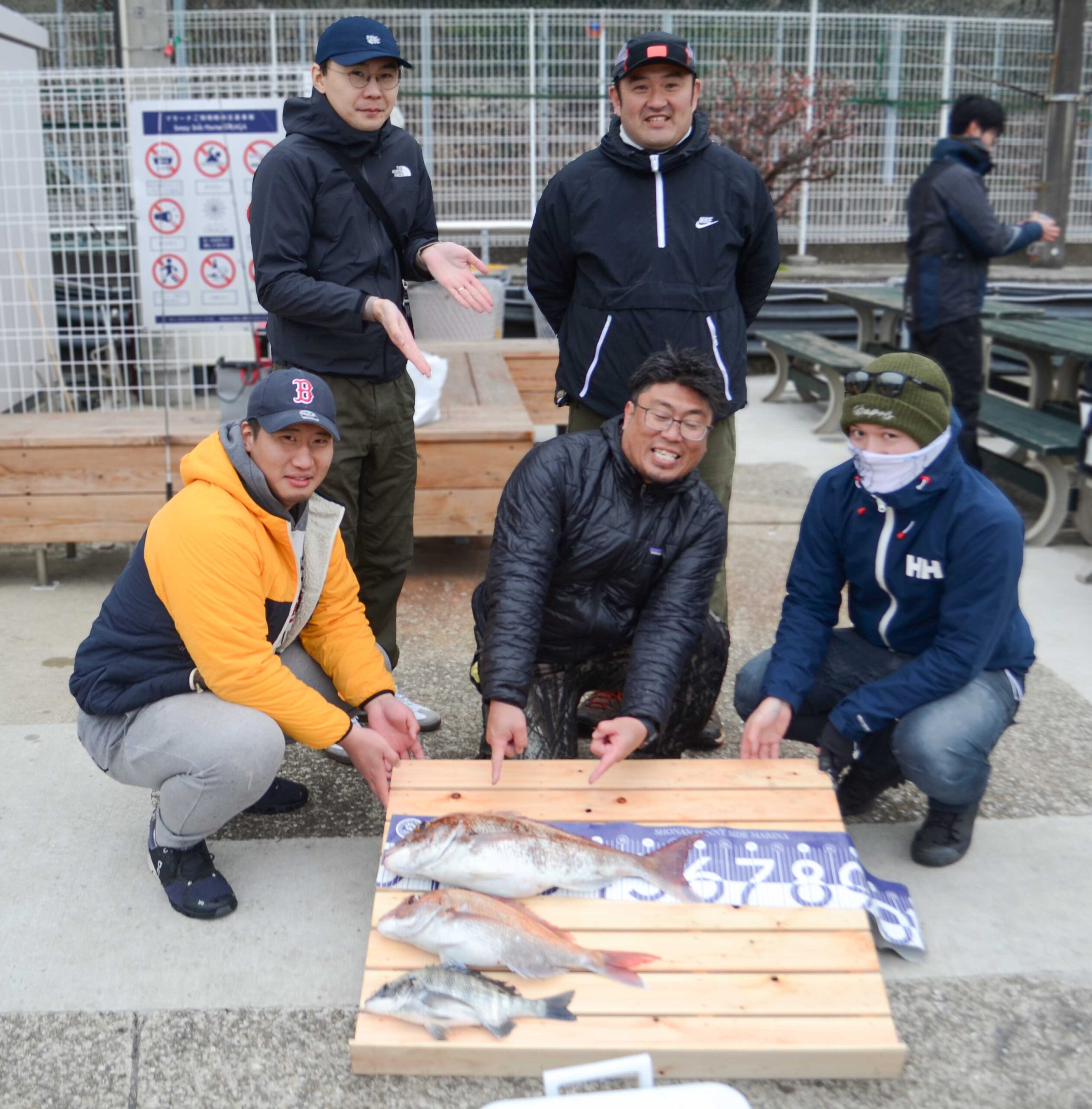 ✿マダイ・クロダイ✿