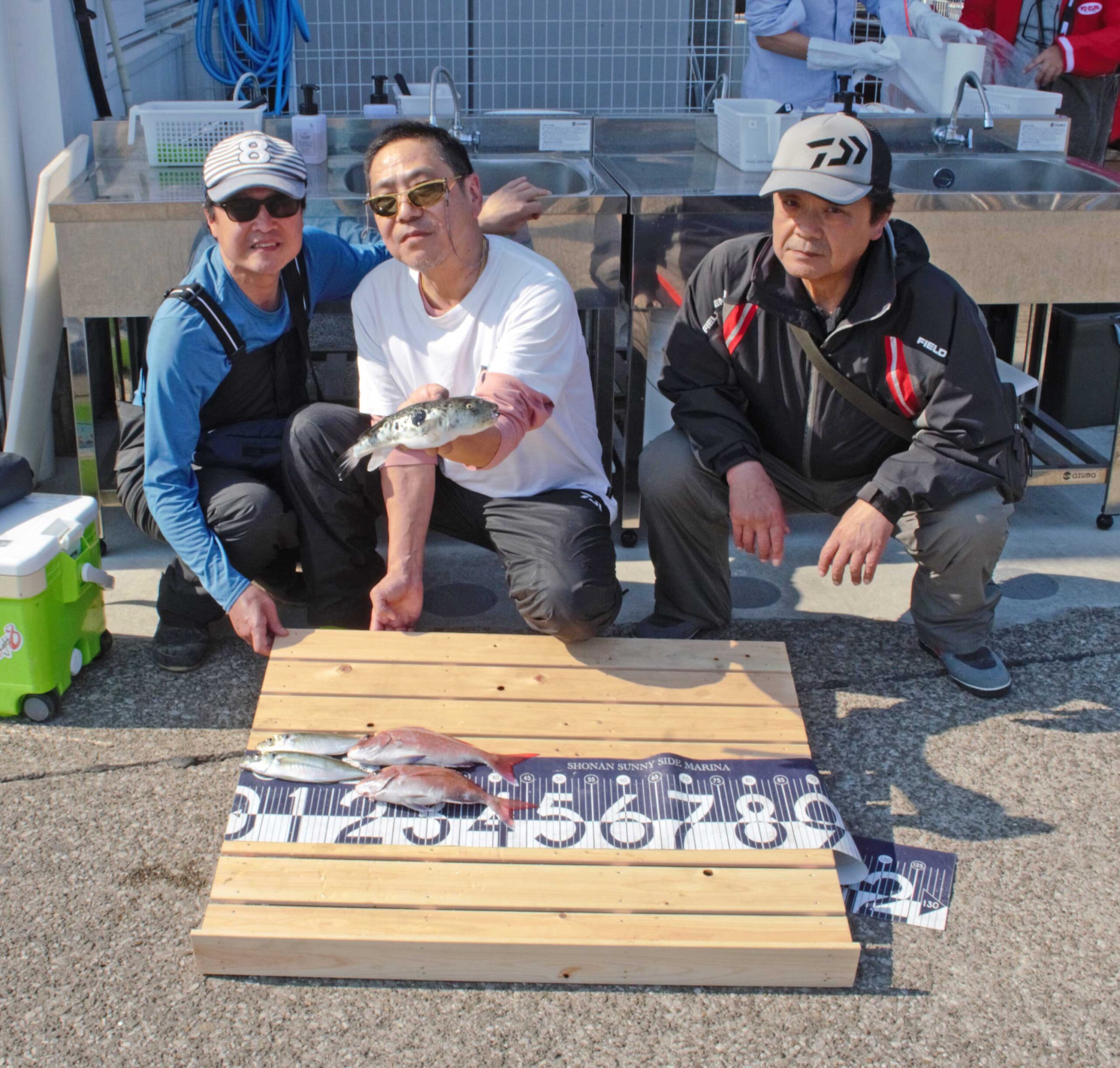 ✿マダイ・トラフグ・アジ✿