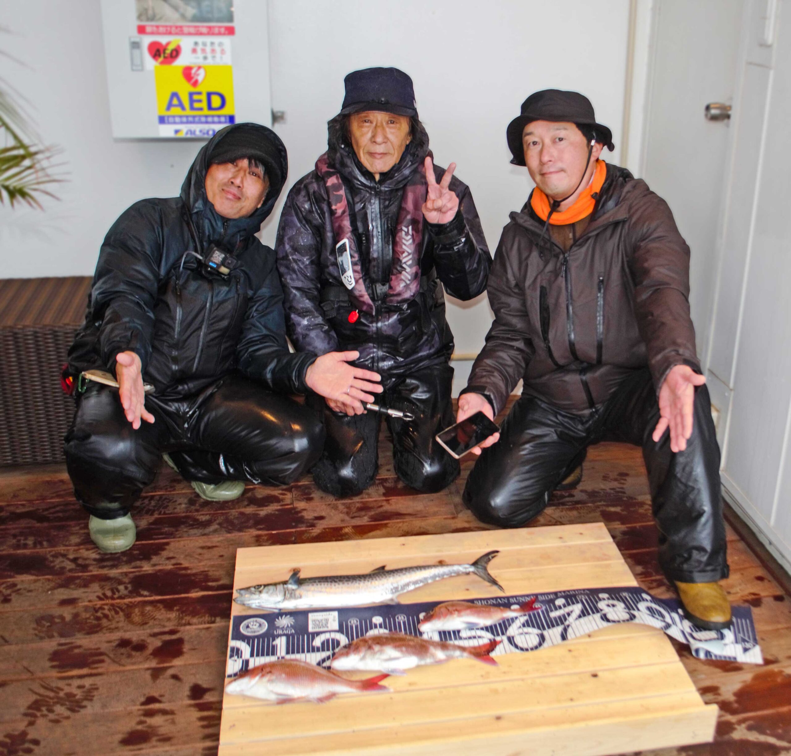 ✿マダイ・サワラ✿