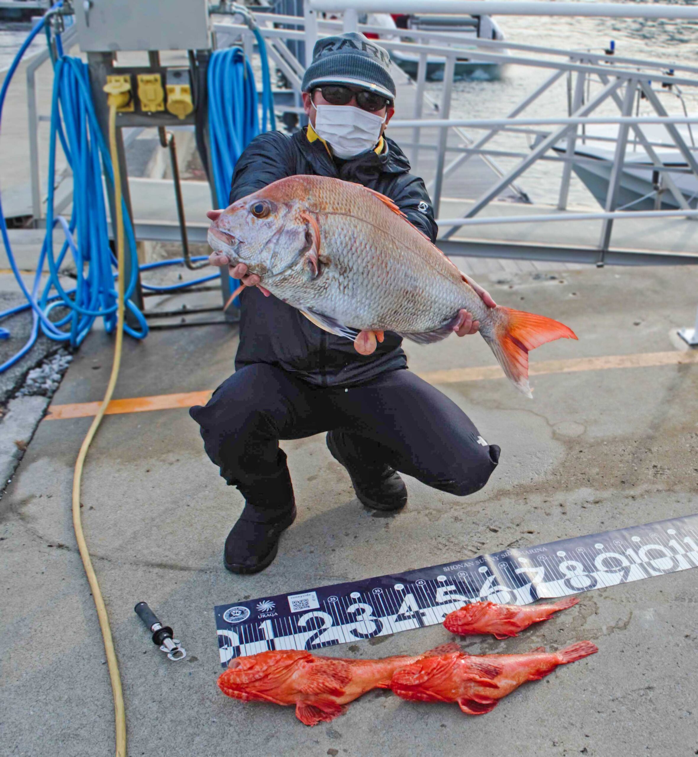 ✿マダイ・オニカサゴ✿