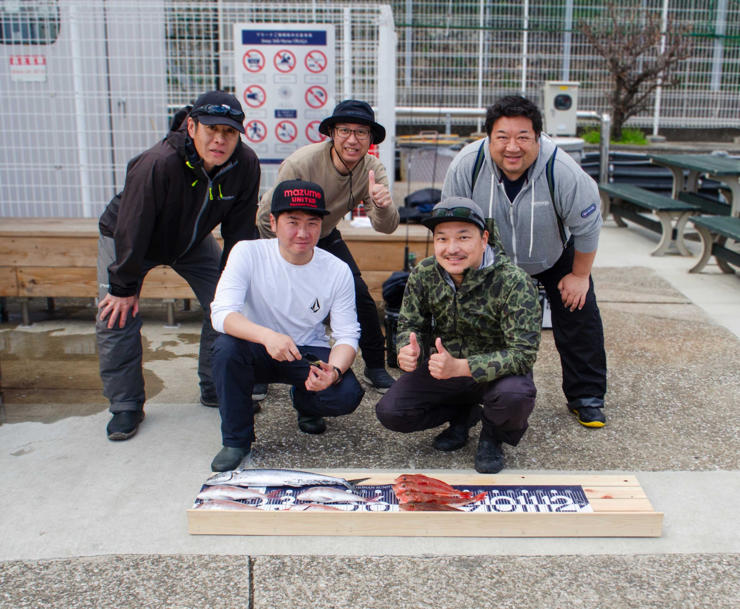 ✿サワラ・マダイ・ホウボウ✿