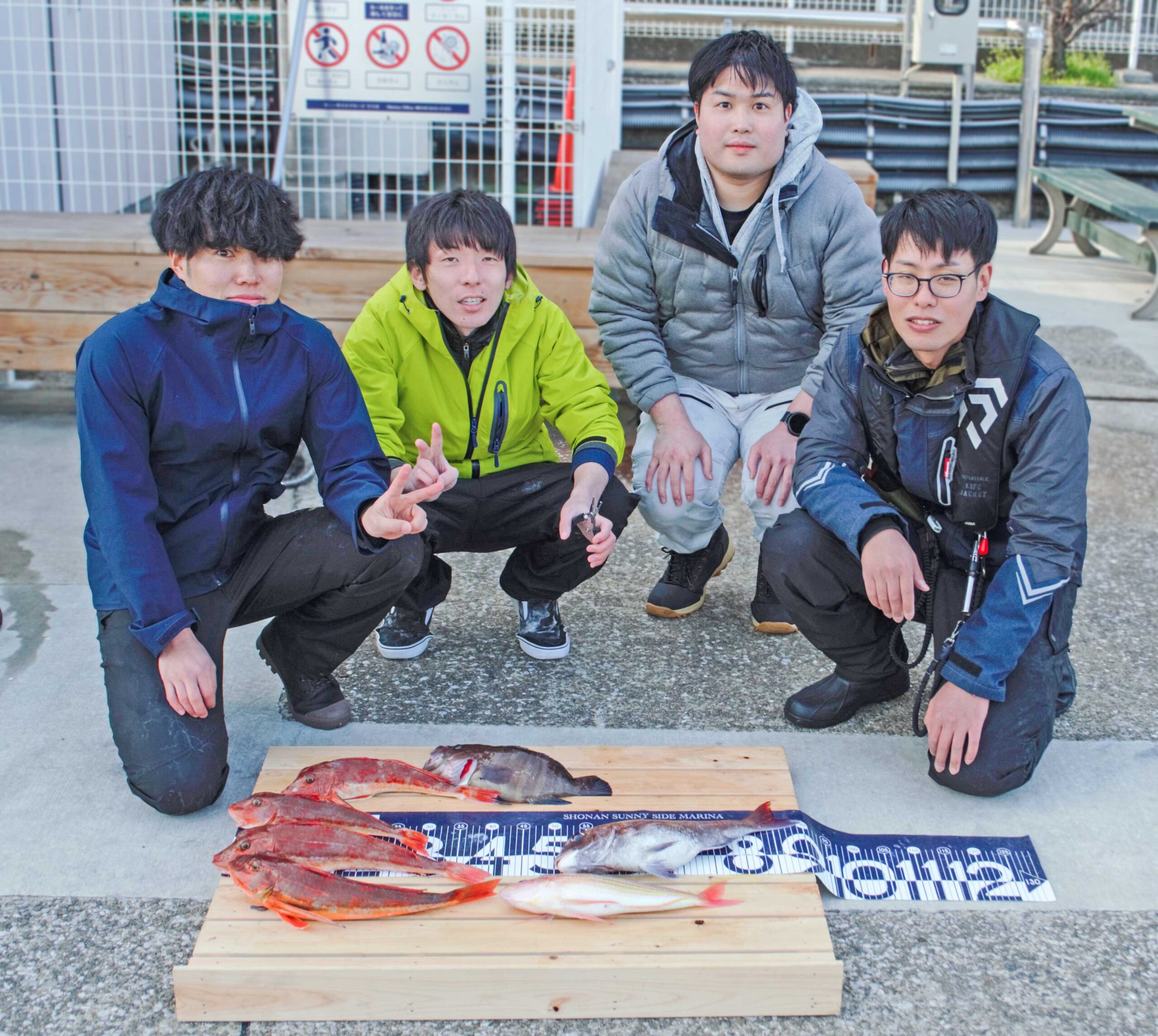 ✿マダイ・ホウボウ・マハタ・イトヨリダイ✿