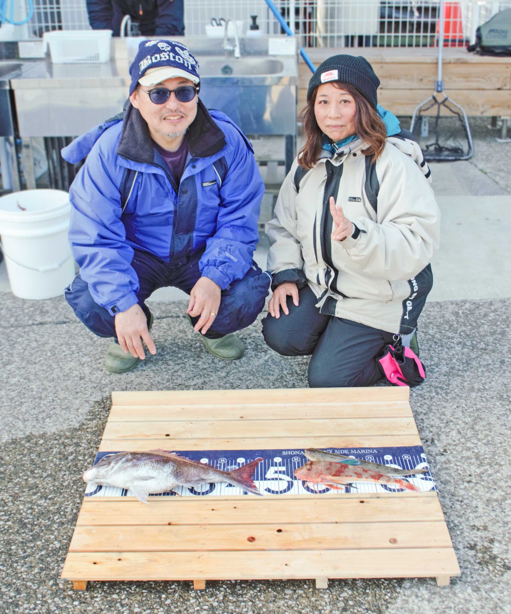 ✿マダイ・ホウボウ・エソ✿