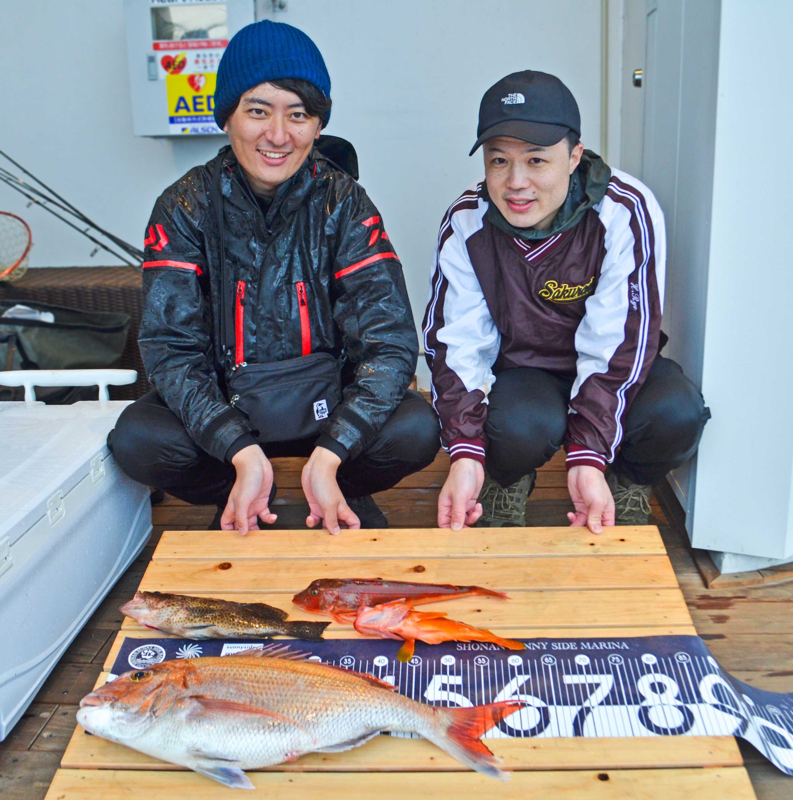 ✿マダイ・オオモンハタ・ホウボウ・アカハタ✿