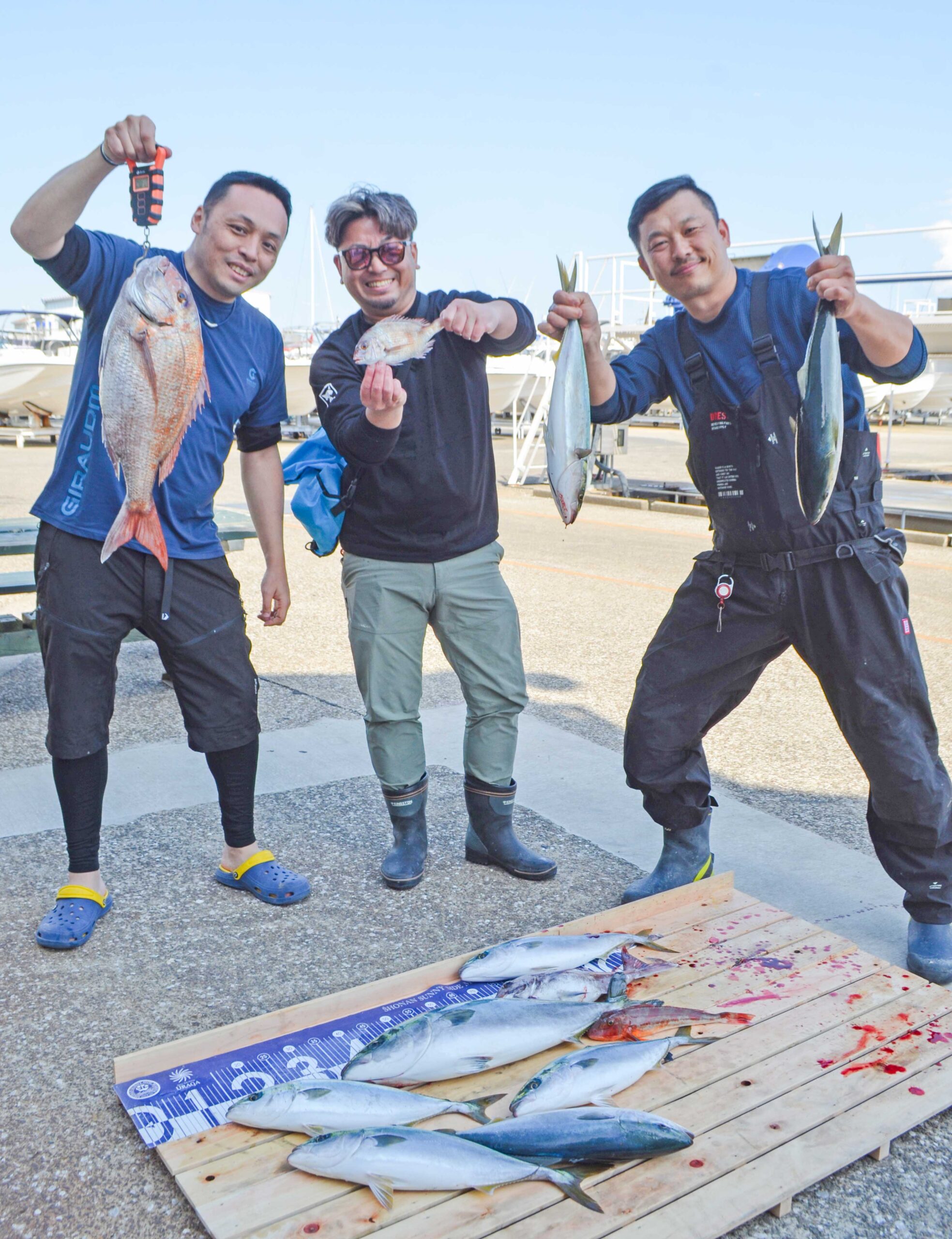 ✿マダイ・ワラサ・イナダ・ホウボウ✿