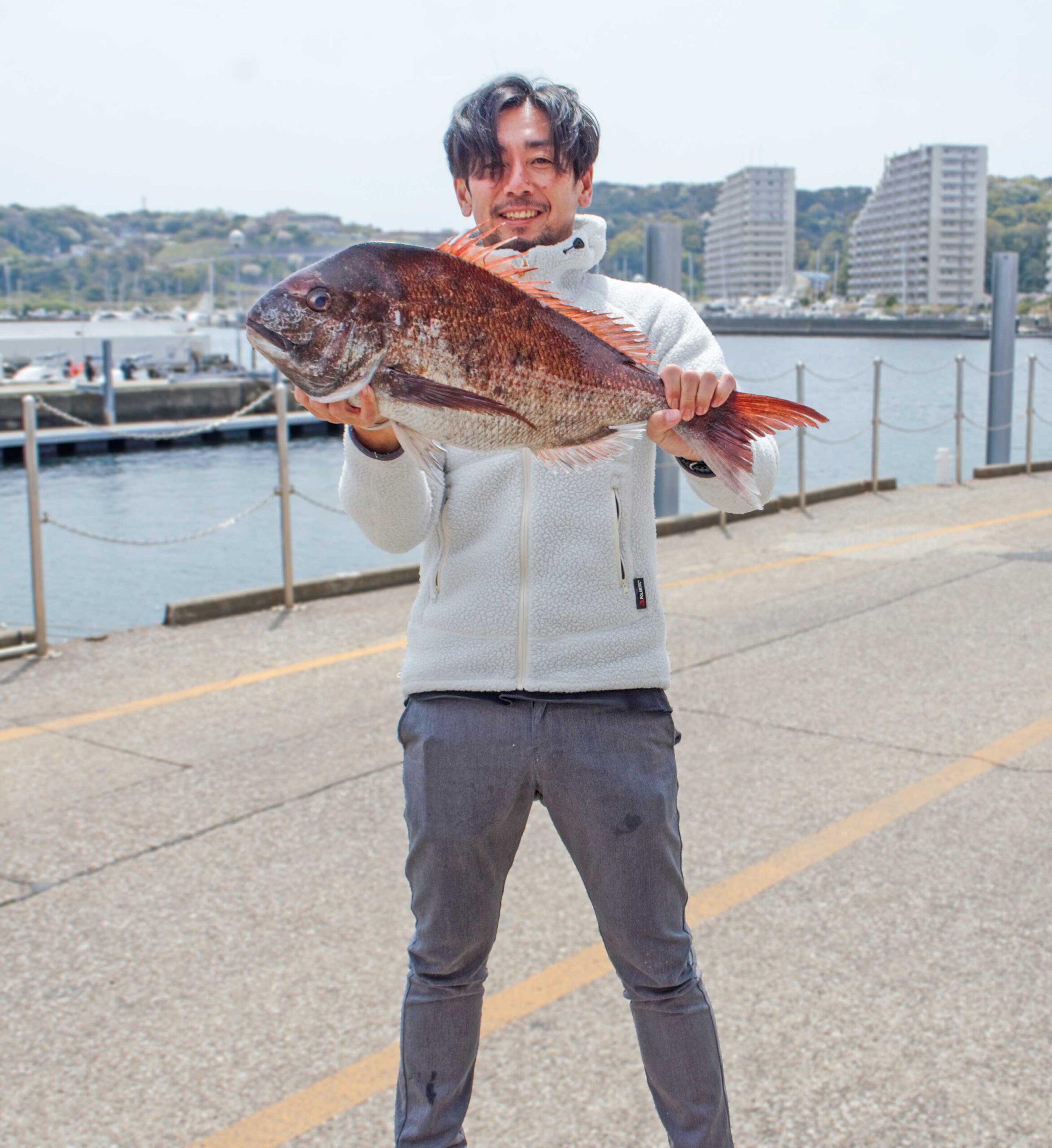 ✿マダイ・イトヨリダイ・イナダ・ホウボウ✿