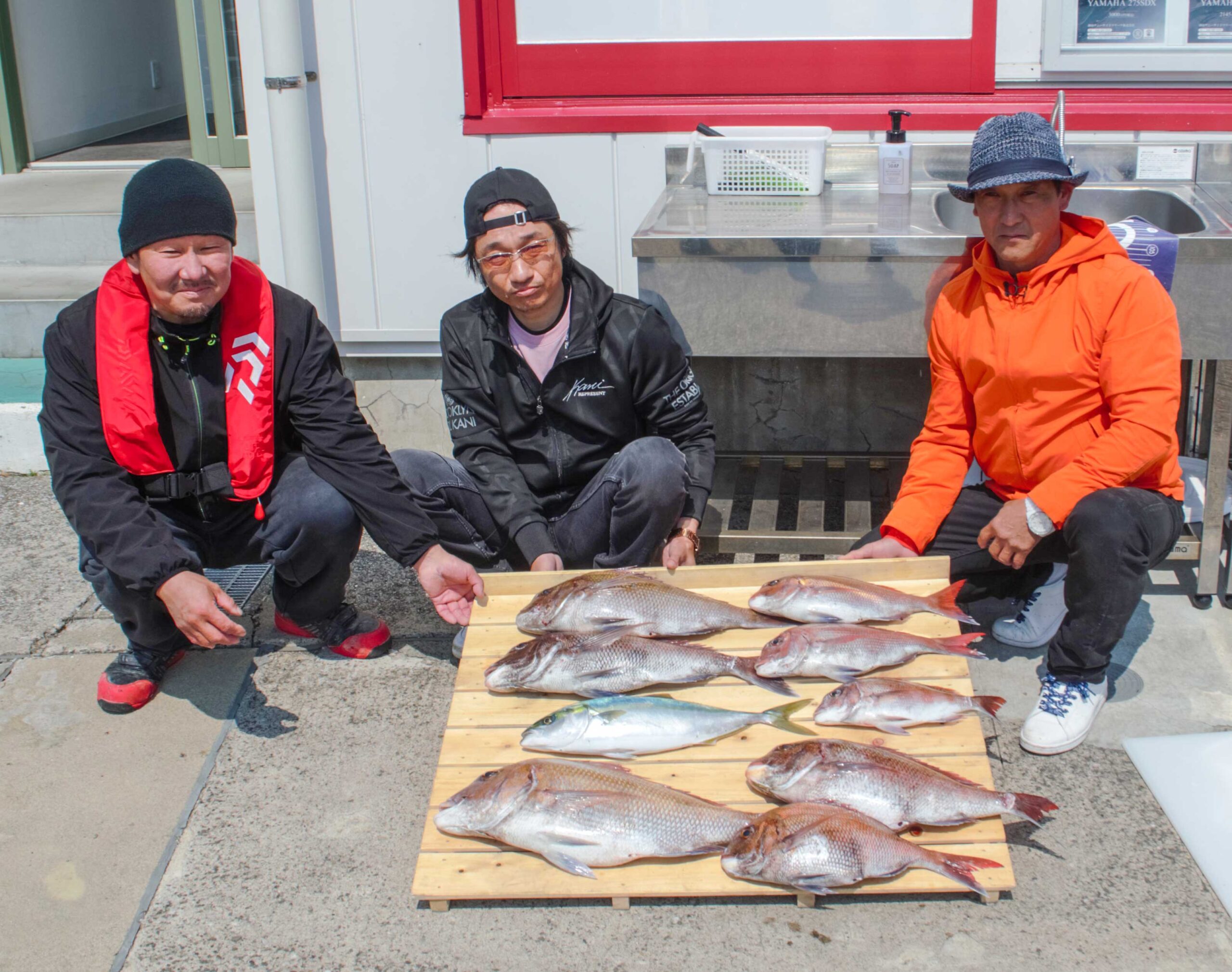 ✿マダイ・イナダ✿