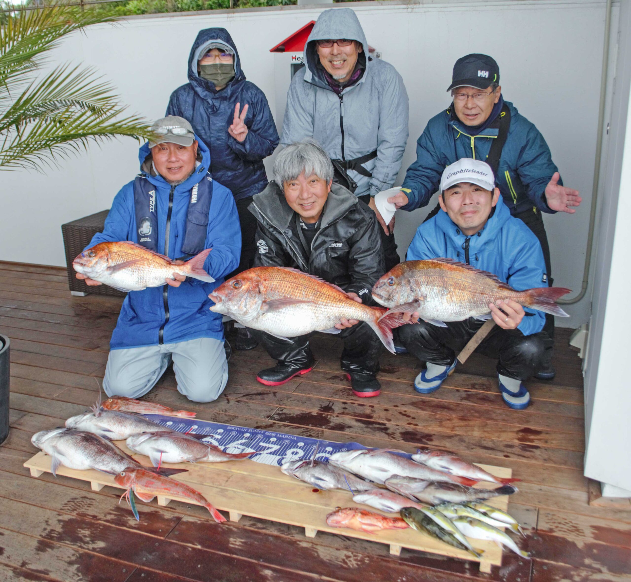 ✿マダイ・ホウボウ・マハタ・カサゴ・サバフグ✿