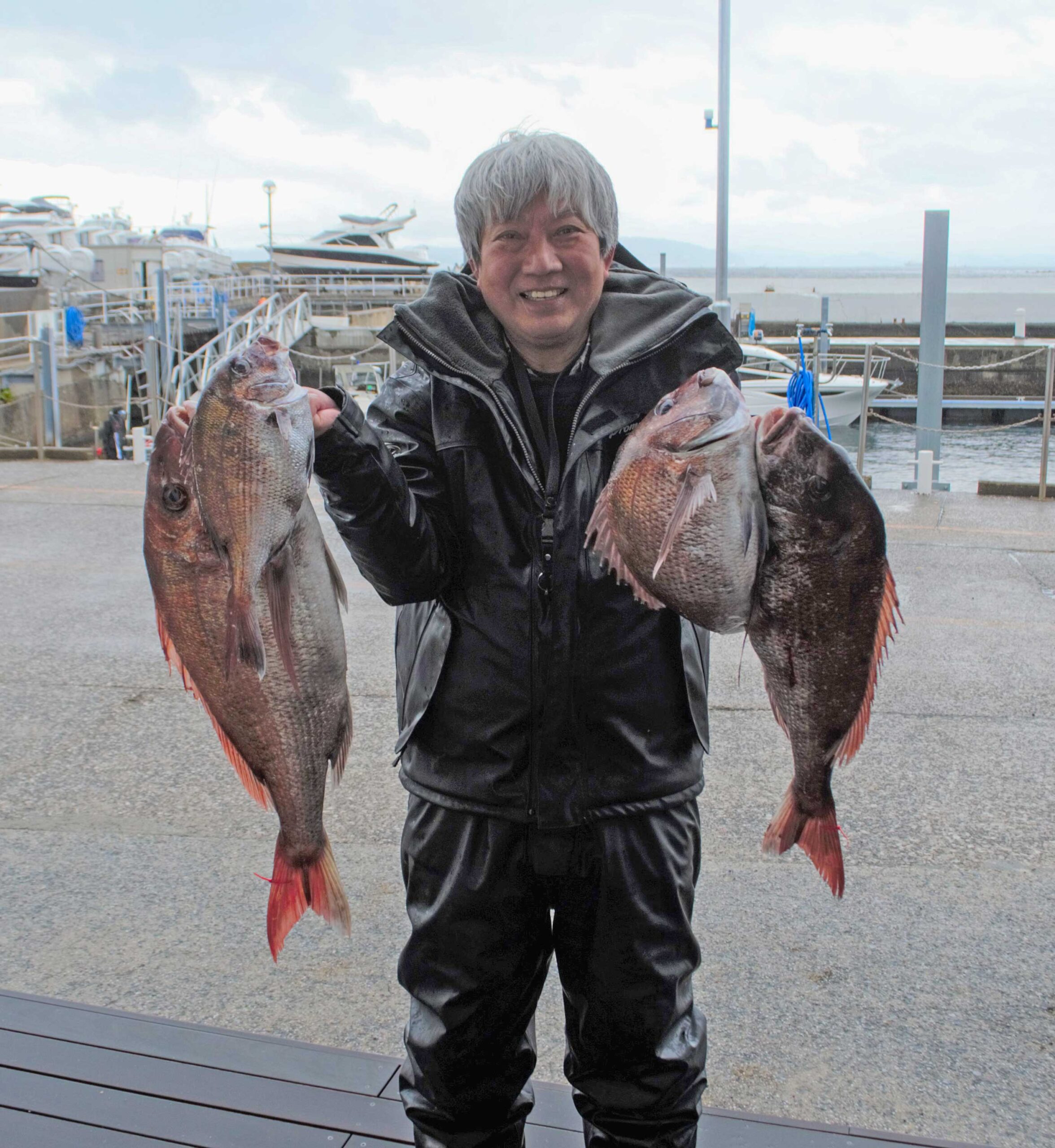 ✿マダイ・ホウボウ・マハタ・カサゴ・サバフグ✿