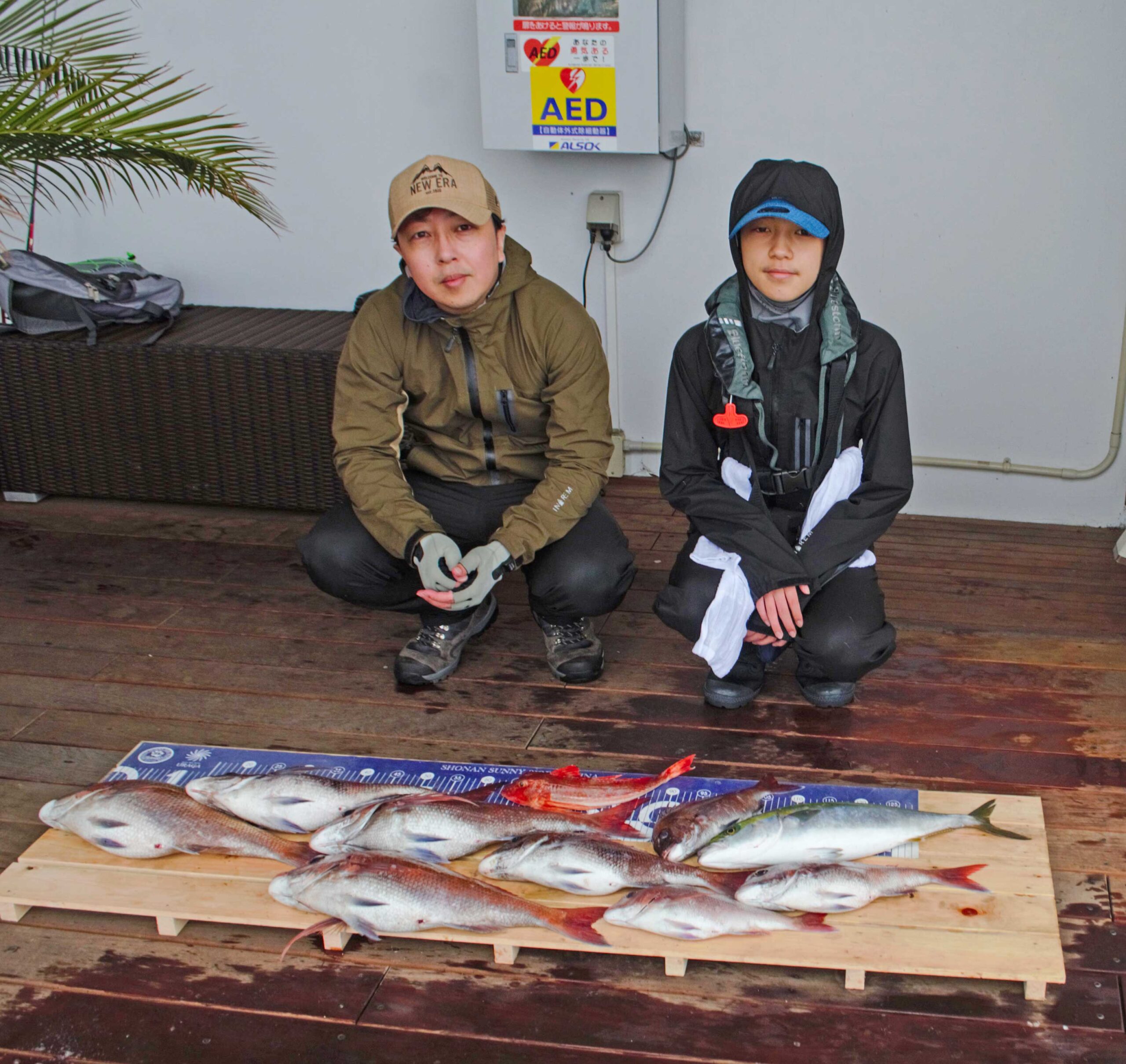 ✿マダイ・ホウボウ・イナダ✿