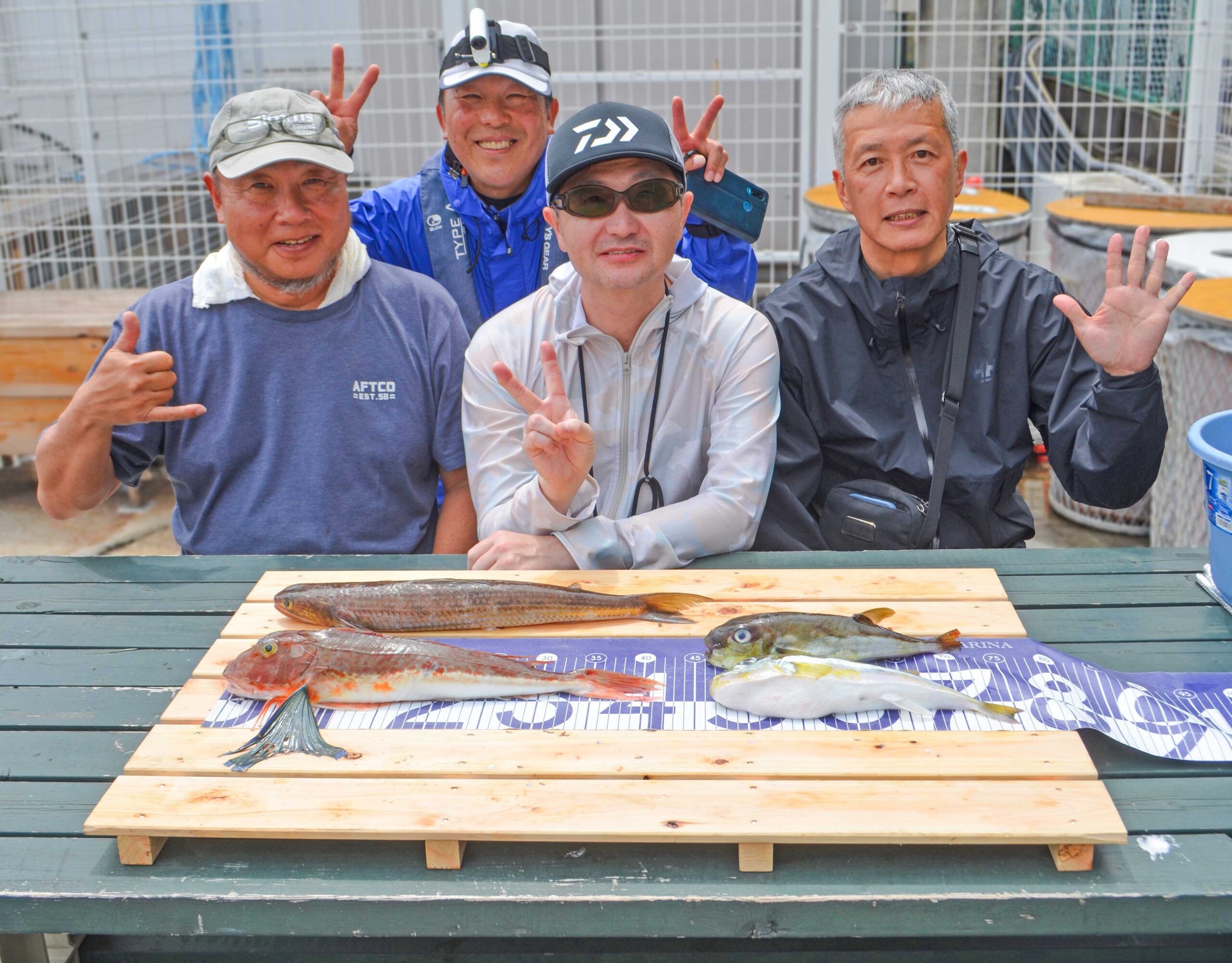 ✿ホウボウ・エソ・サバフグ✿