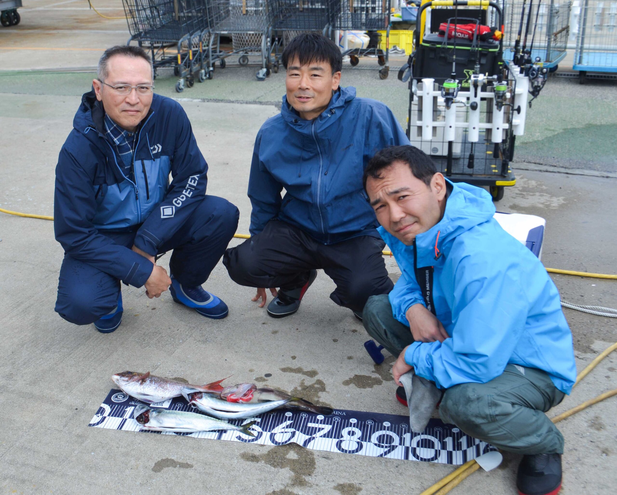 ✿マダイ・マハタ・サバ✿