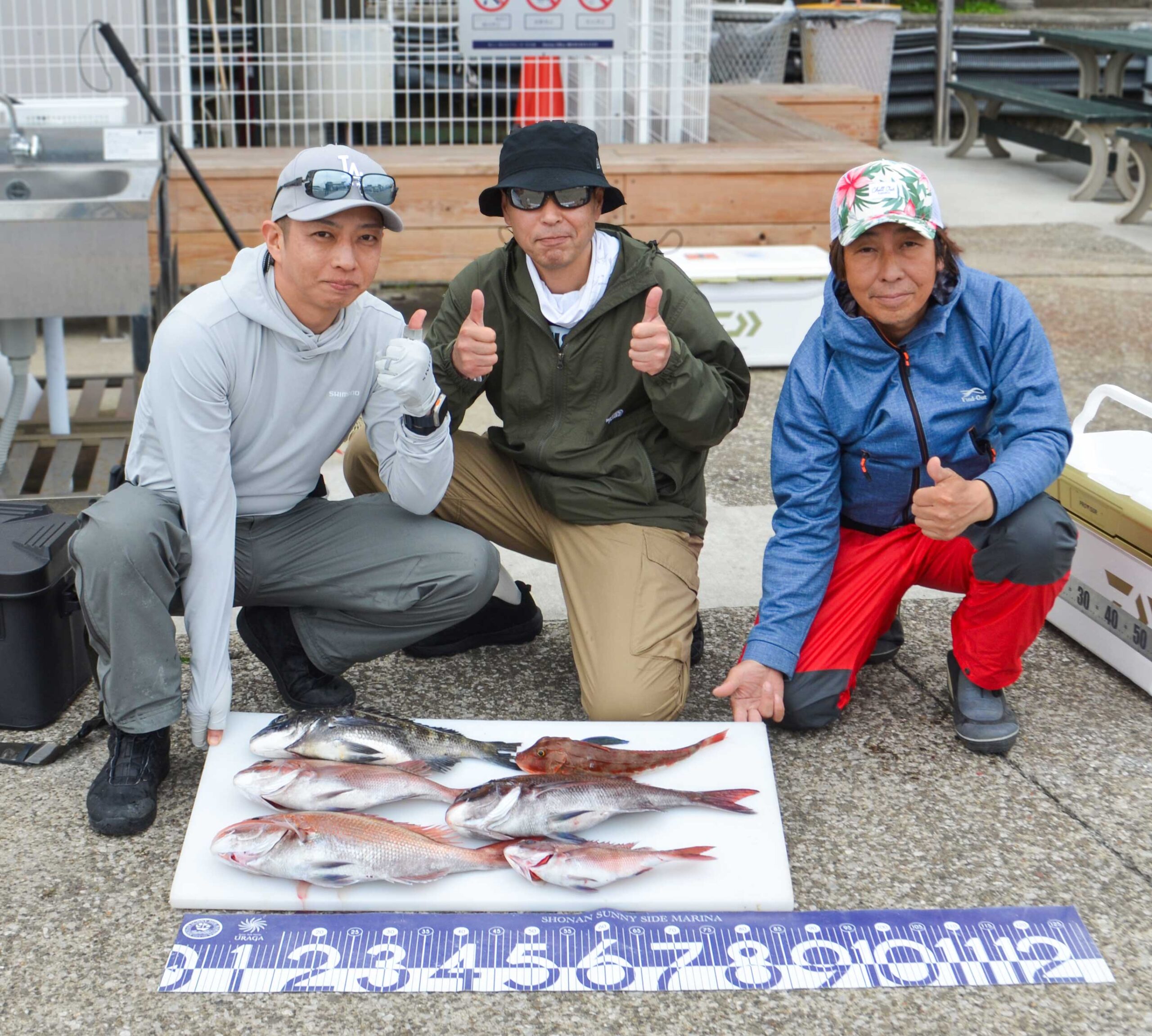 ✿マダイ・クロダイ・ホウボウ✿