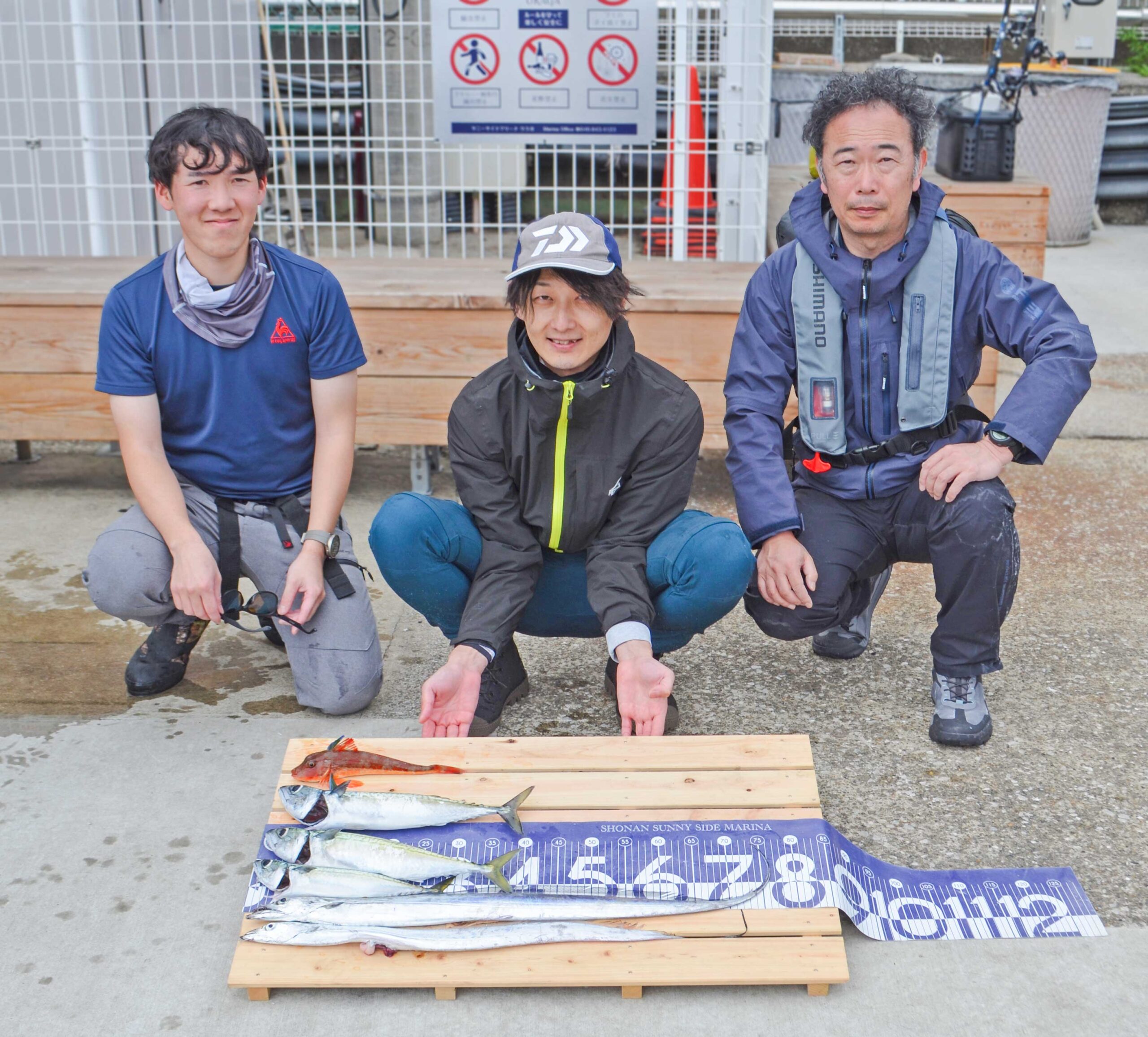 ✿タチウオ・サバ・ホウボウ✿