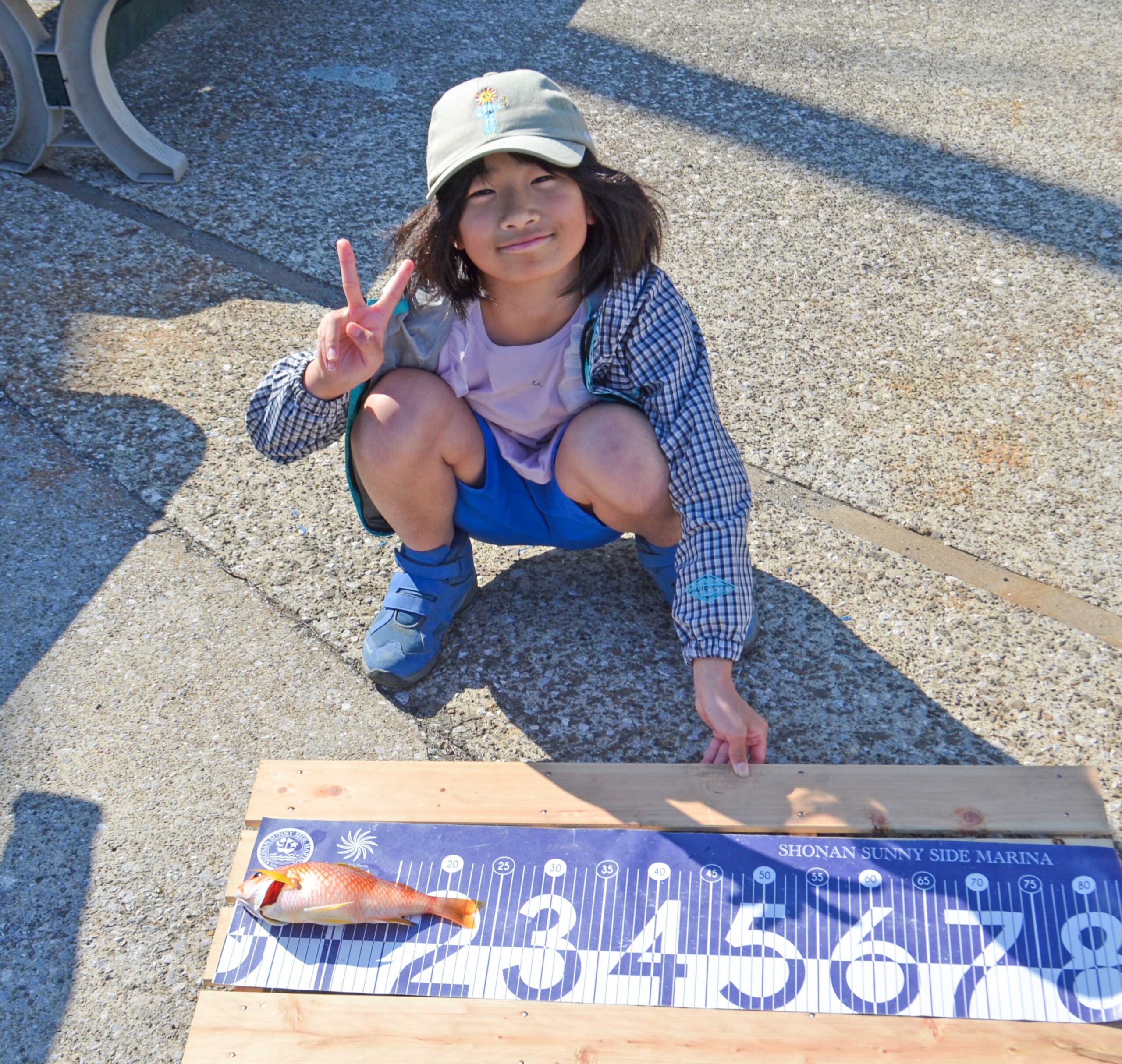 ✿タマガシラ✿