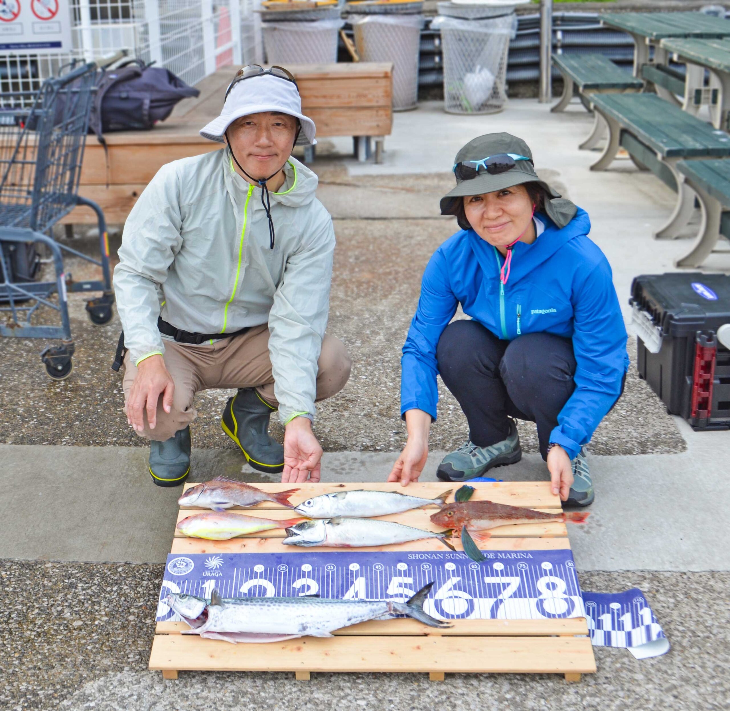✿サワラ・マダイ・ソコイトヨリ・サバ・ホウボウ✿