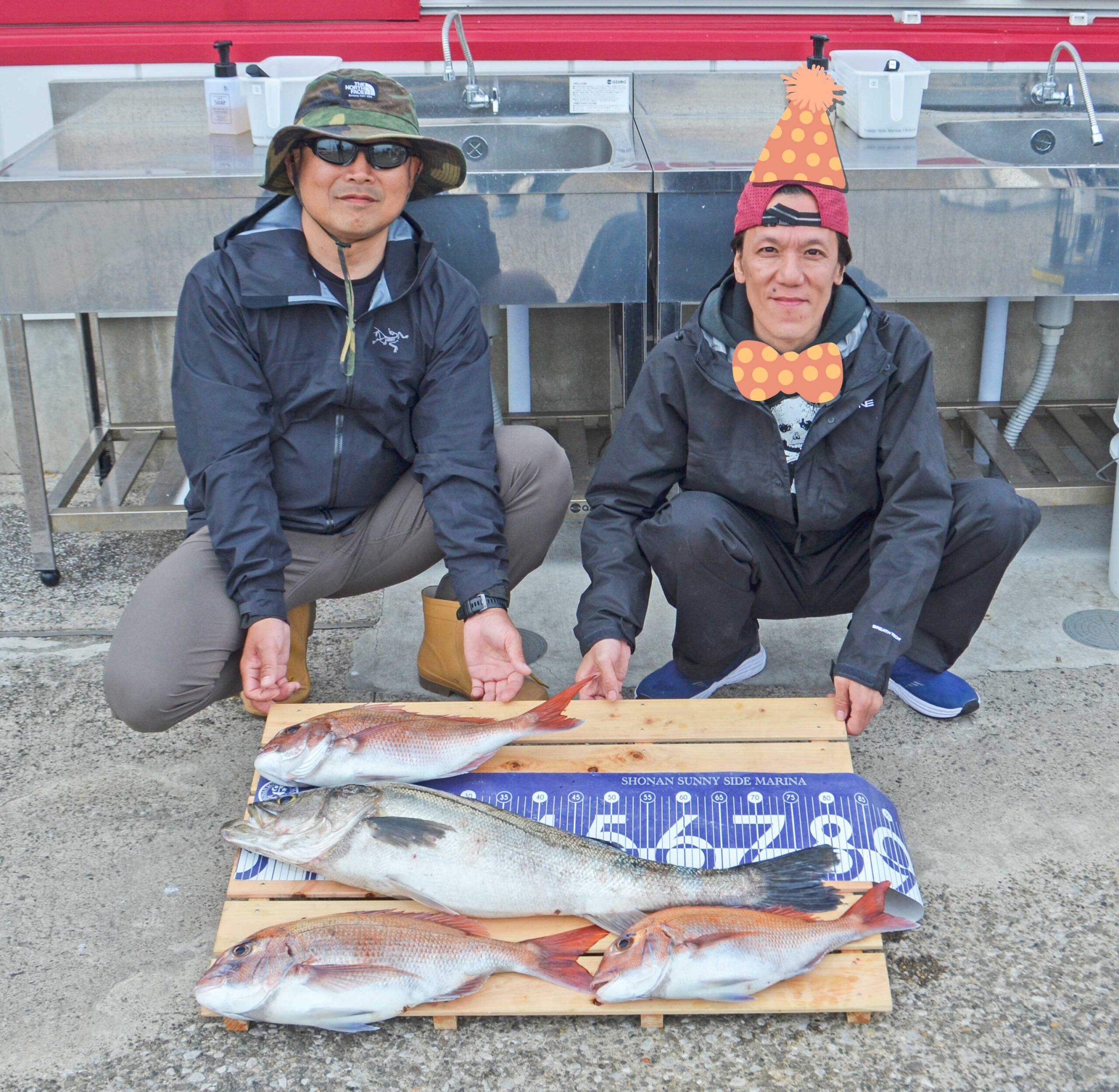 ✿マダイ・シーバス✿