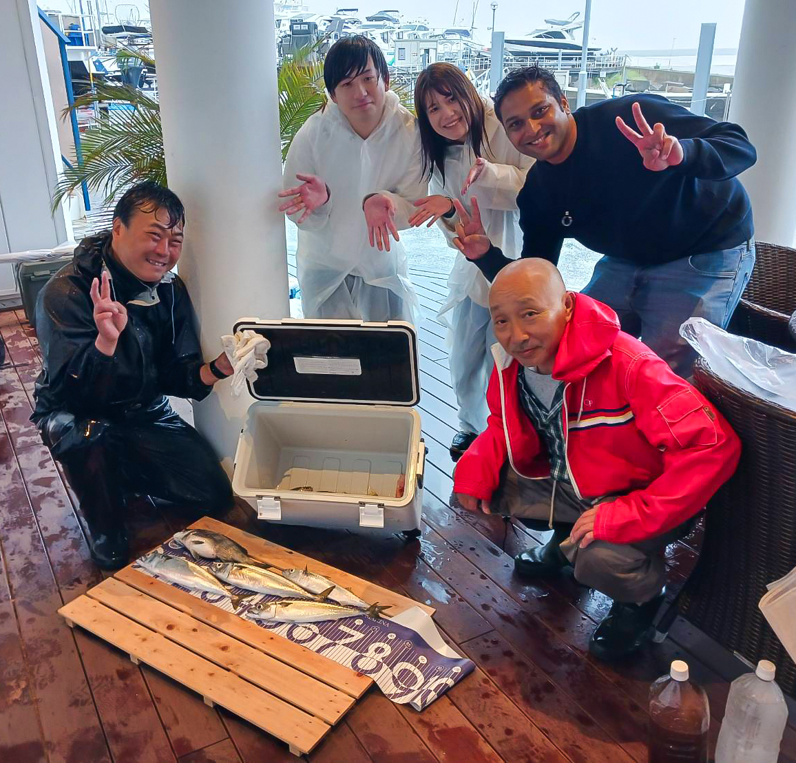 ✿クロダイ・サバ・アジ・カサゴ✿