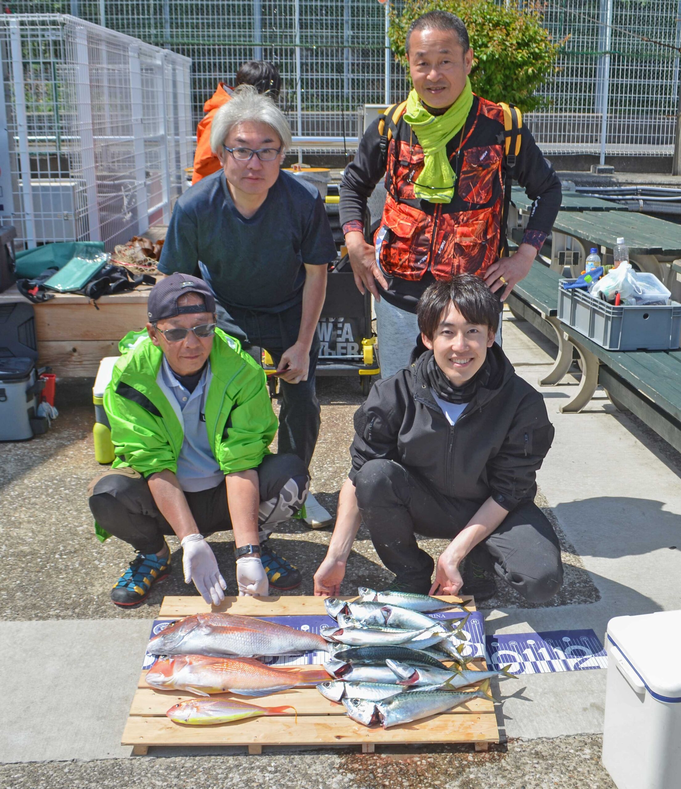 ✿マダイ・アマダイ・ソコイトヨリ・サバ✿