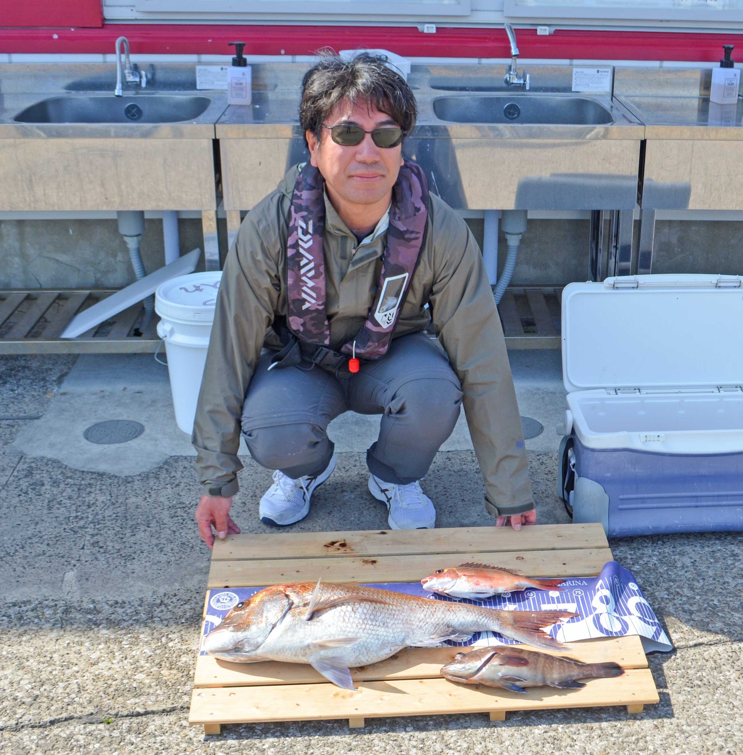 ✿マダイ・マハタ✿