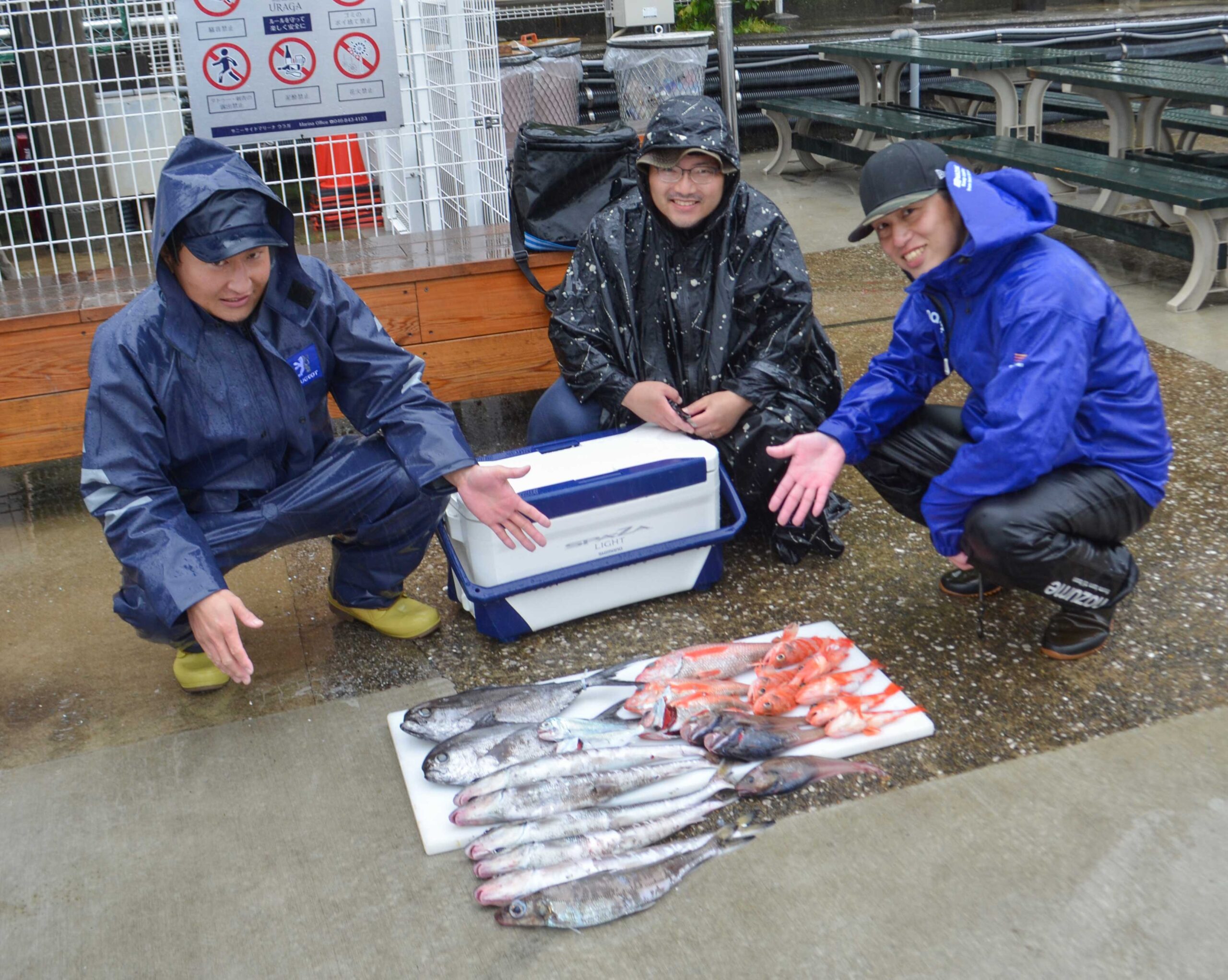 ✿シマガツオ・ギス・アカムツ・ドンコ・ユメカサゴ・ギンメダイ✿