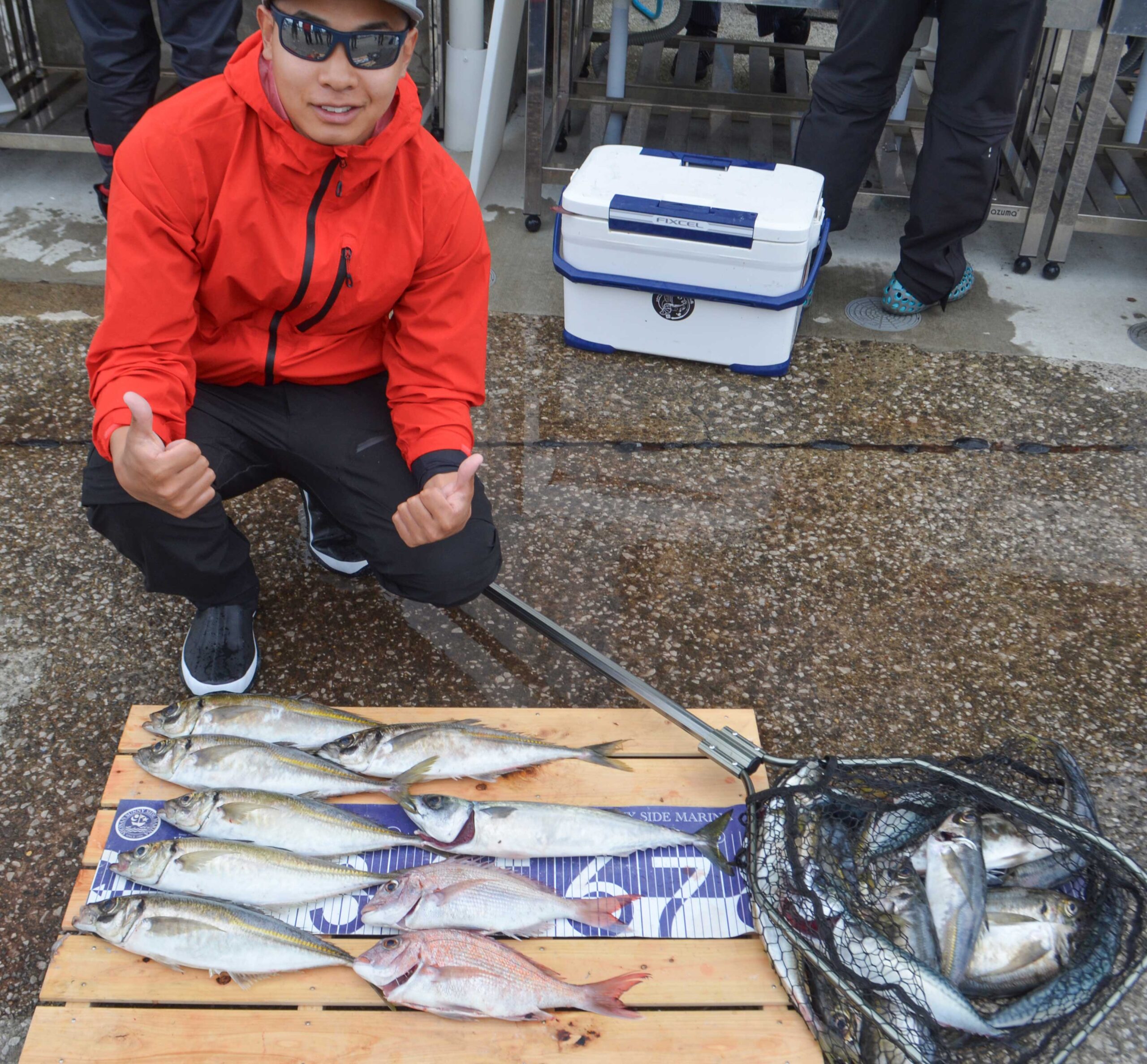 ✿マダイ・アジ・サバ✿