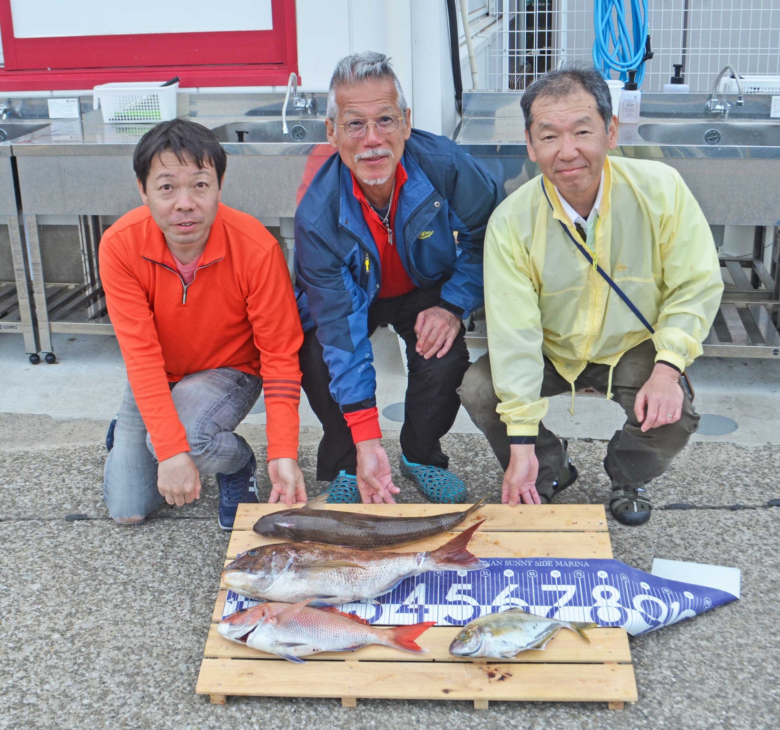 ✿マダイ・カイワリ・エソ・サバ✿