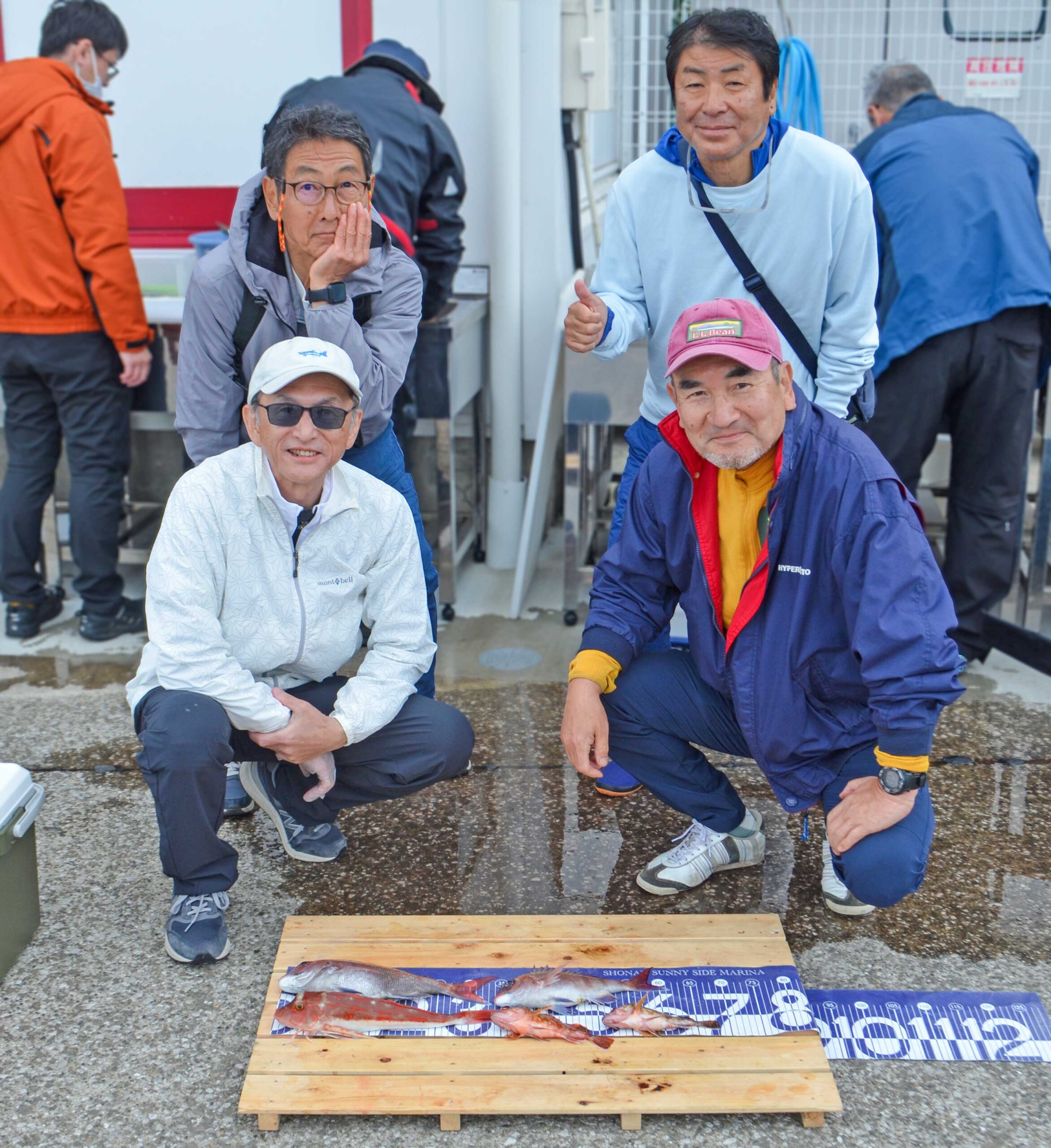 ✿マダイ・ホウボウ・カサゴ✿