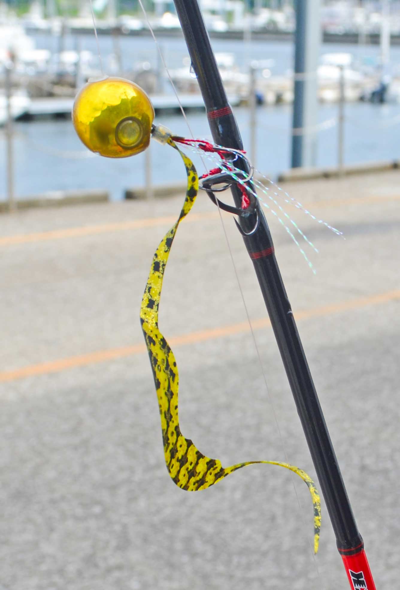 ✿マダイ・カサゴ✿