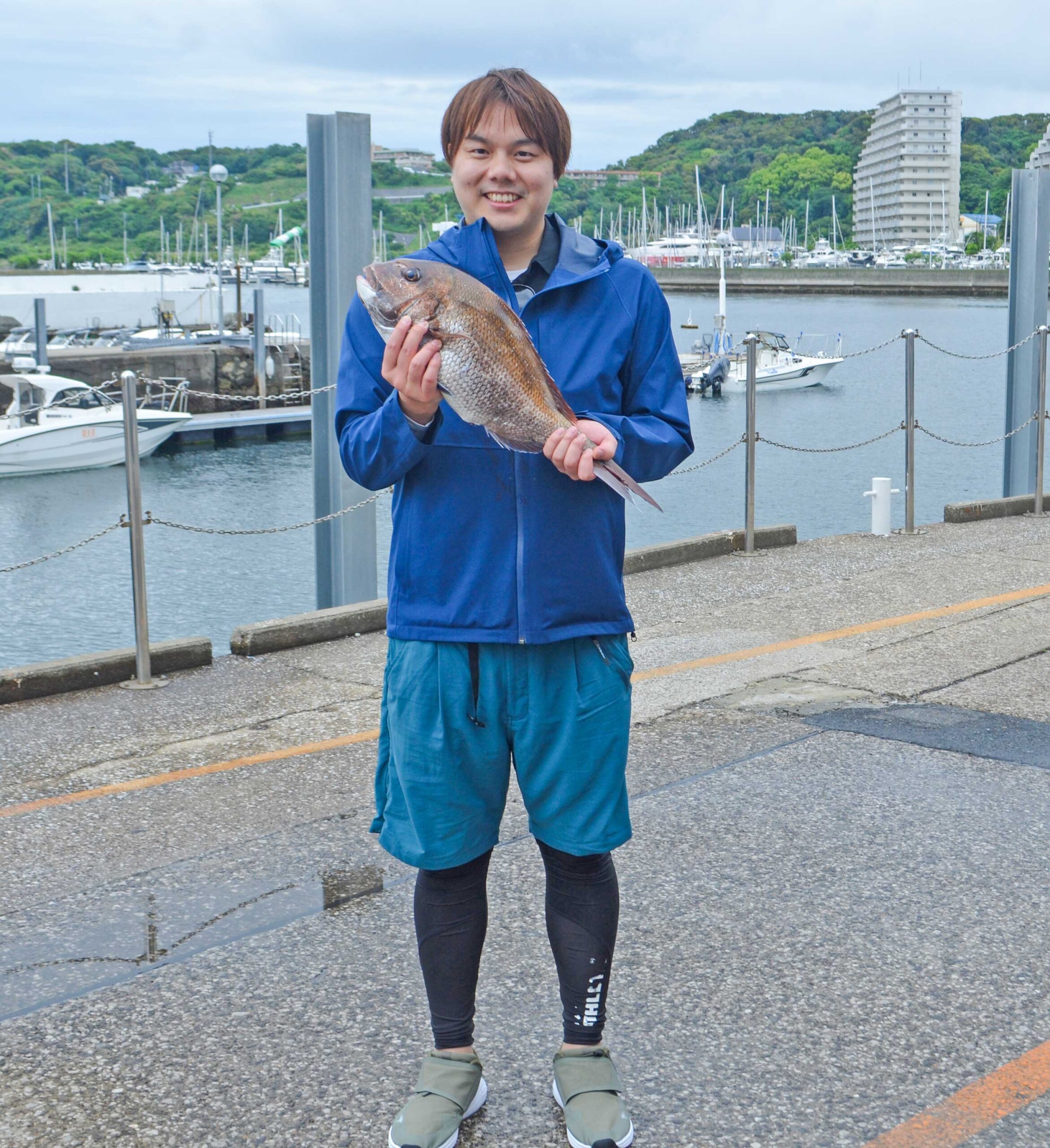 ✿マダイ・サワラ・タチウオ・サバ✿