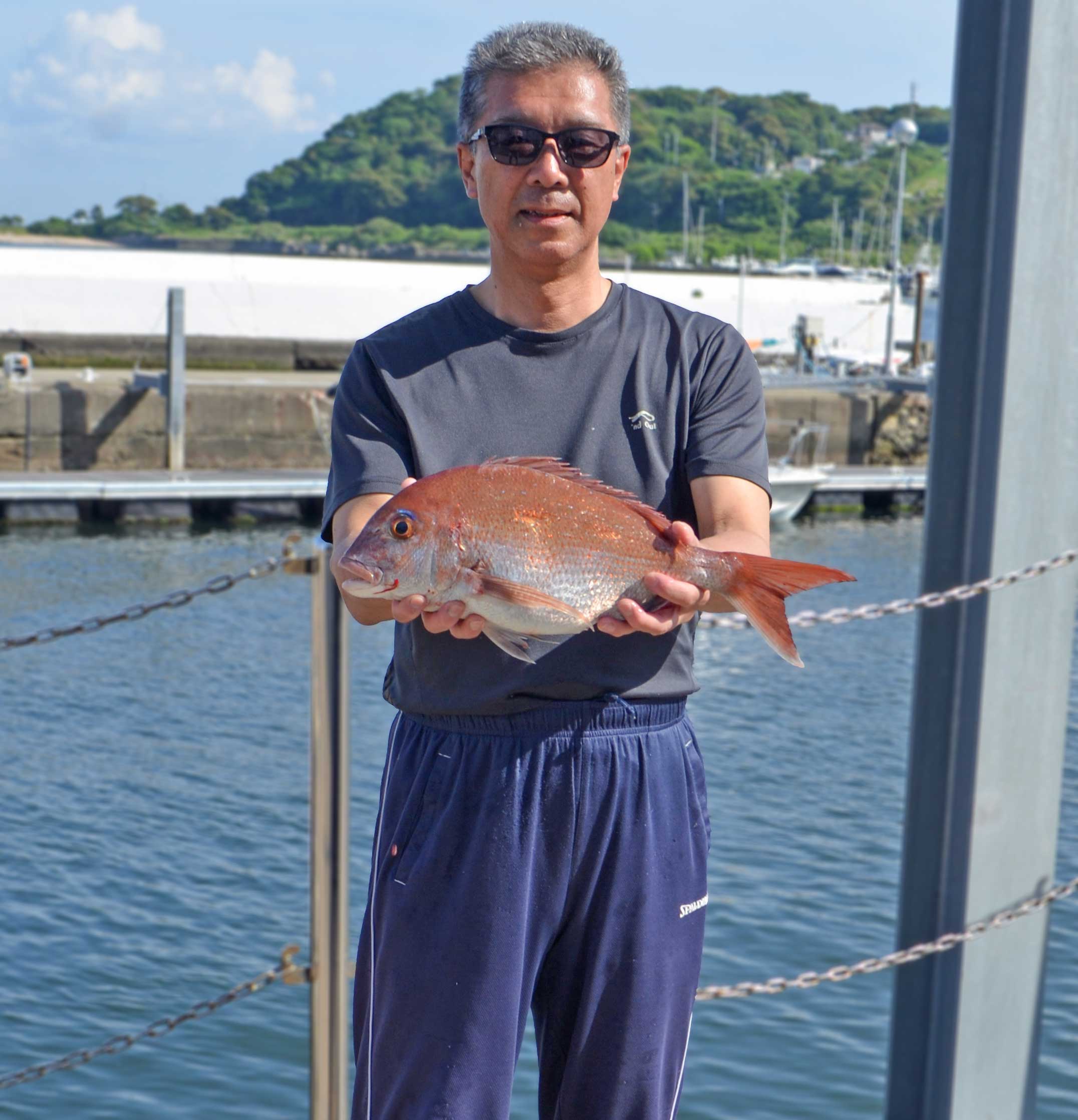 ✿シーバス・マダイ・アジ✿