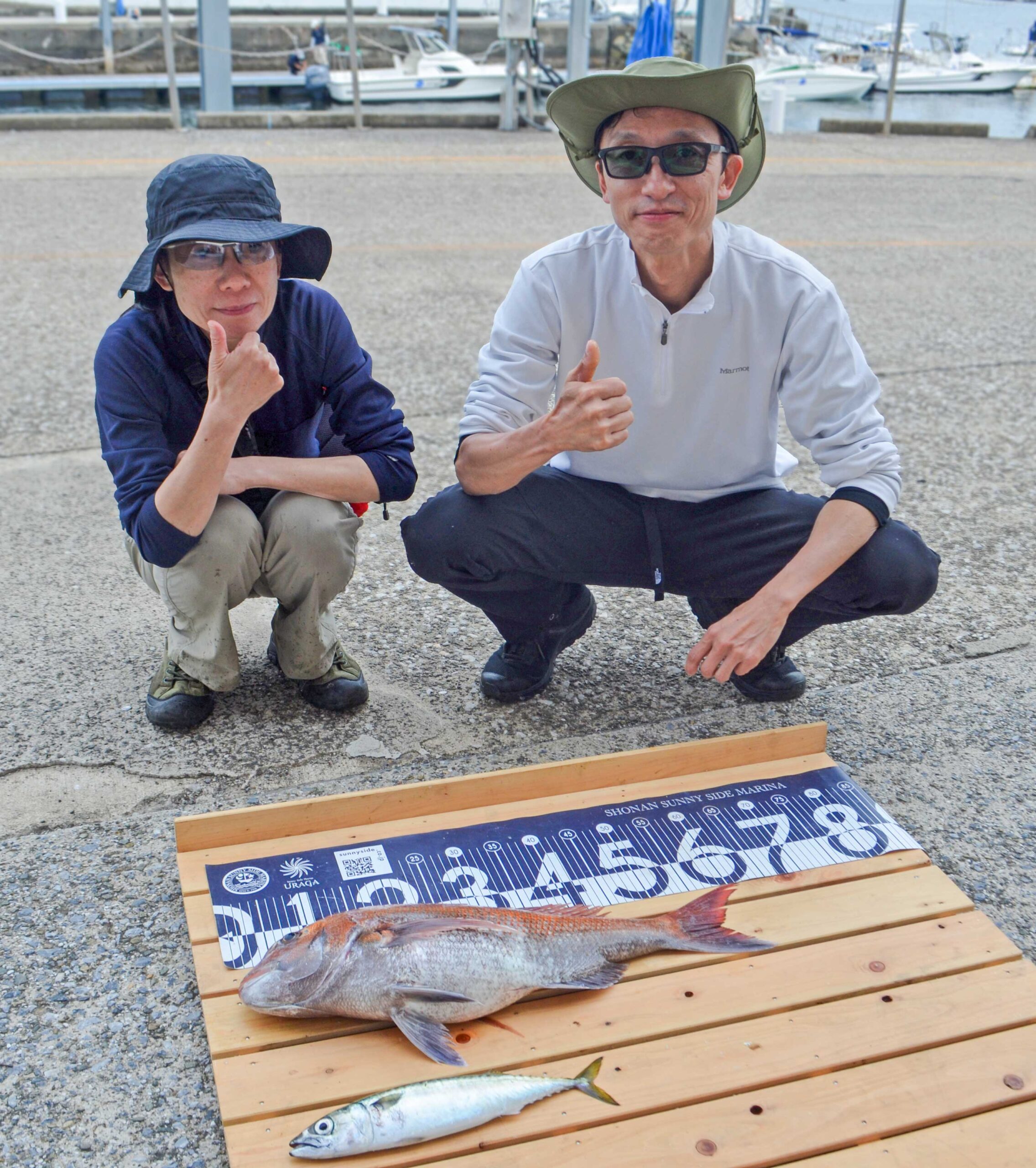 ✿マダイ・サバ✿