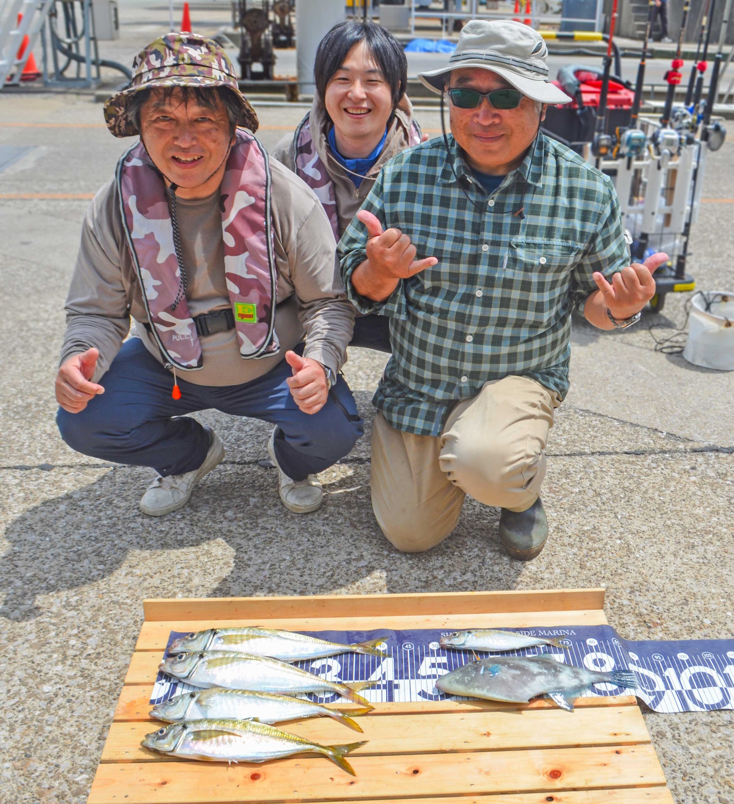 ✿アジ・ウマズラハギ✿