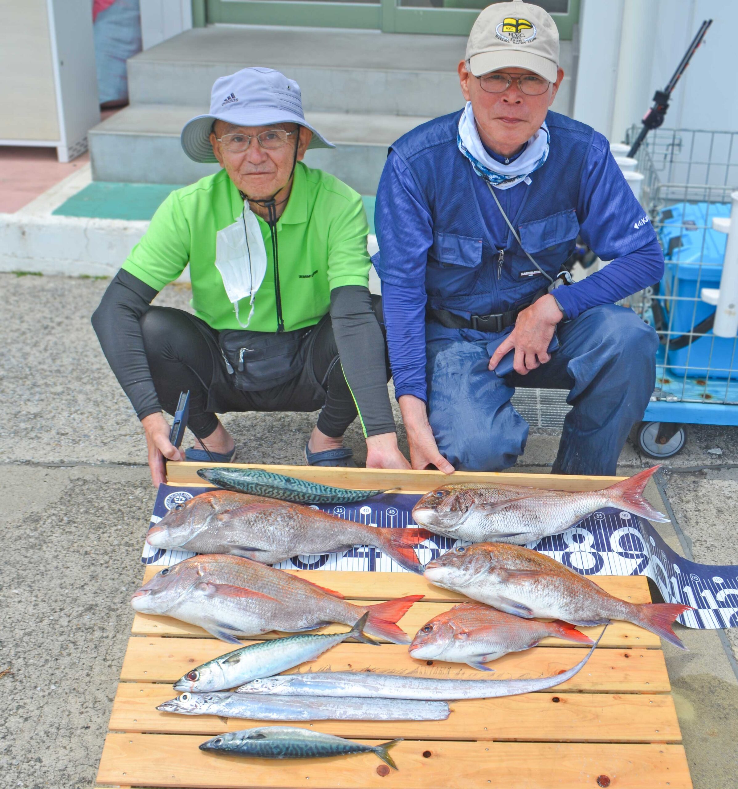 ✿マダイ・サバ・タチウオ✿
