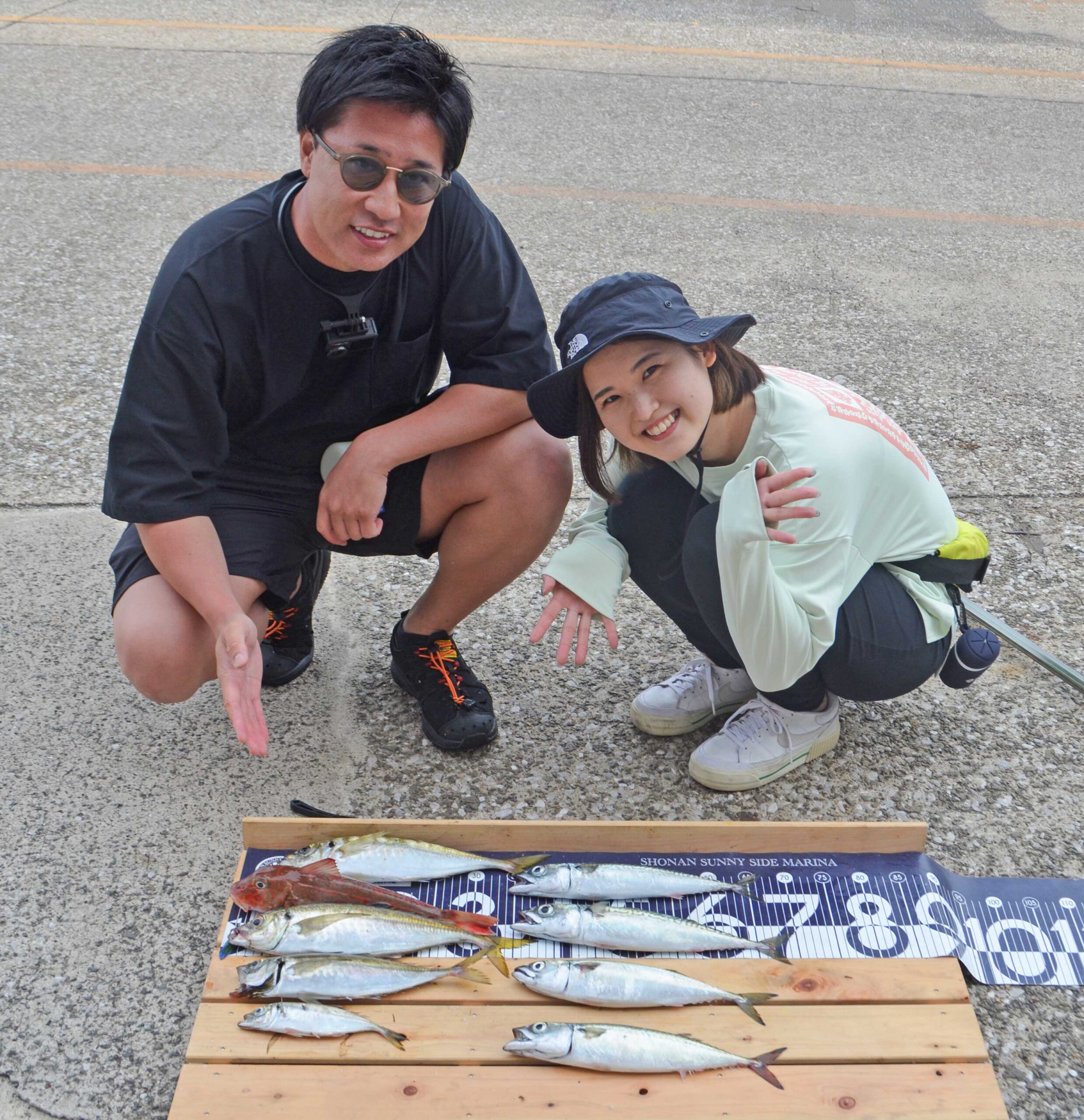 ✿アジ・ホウボウ・サバ✿