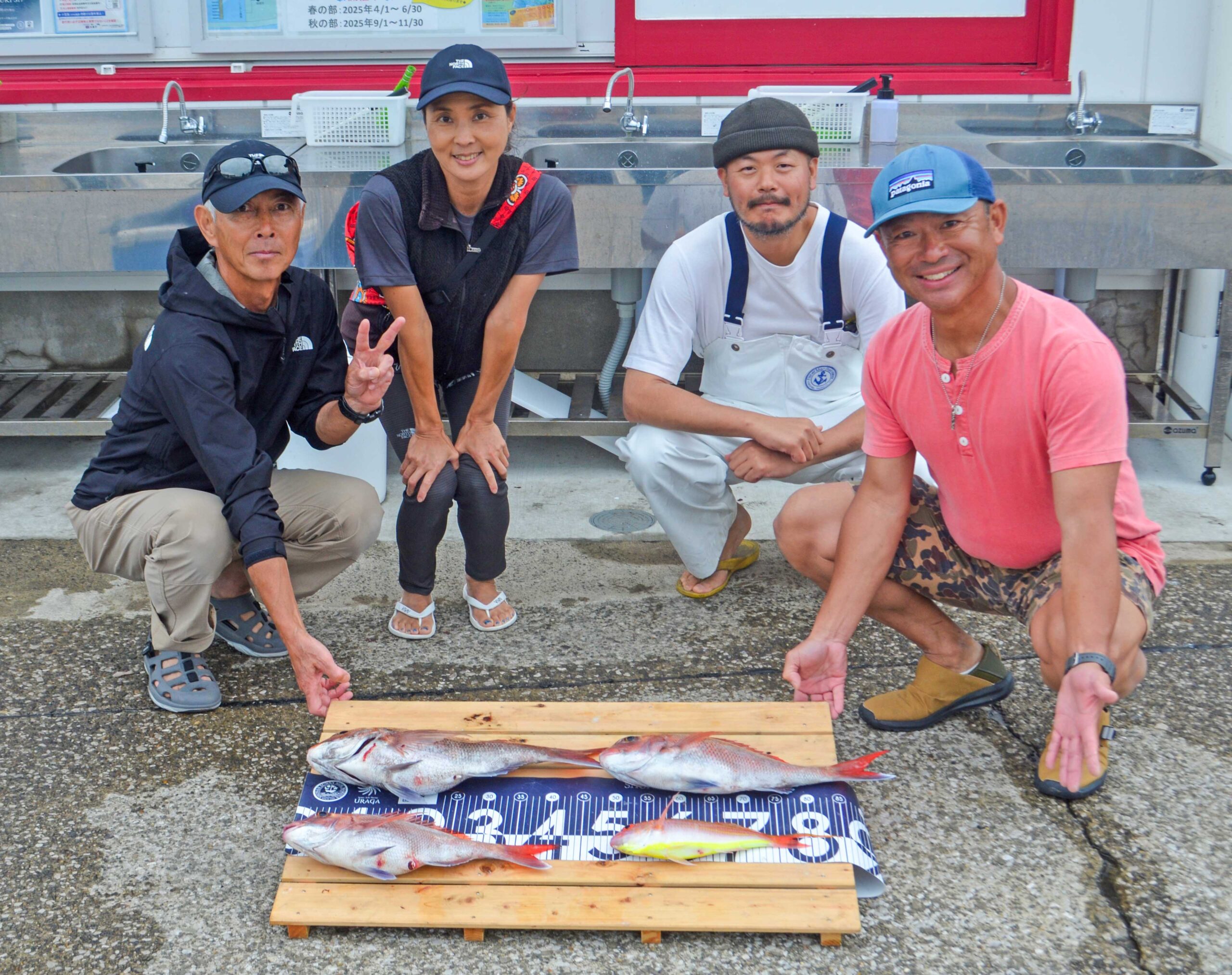 ✿マダイ・ソコイトヨリ✿