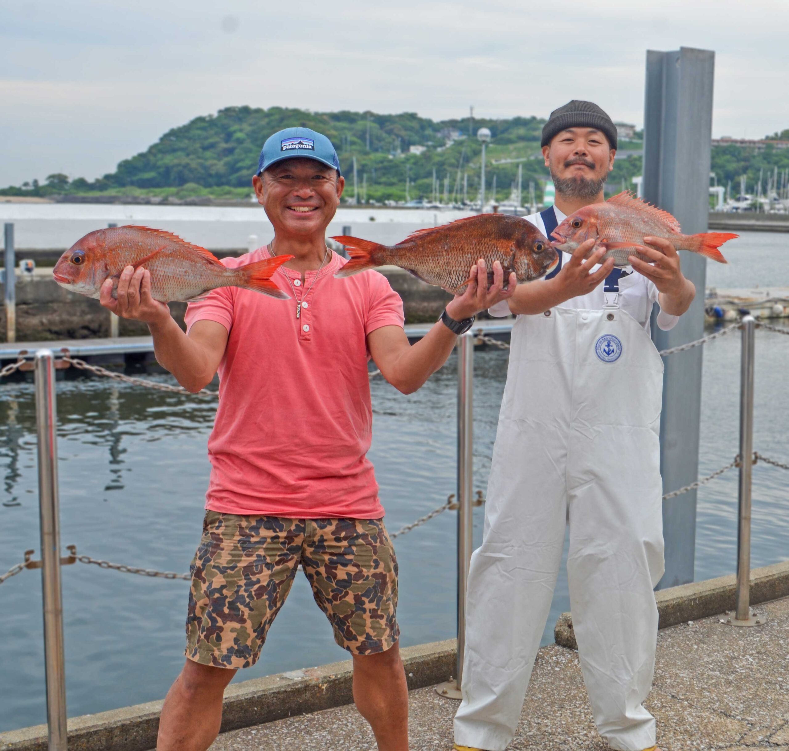 ✿マダイ・ソコイトヨリ✿