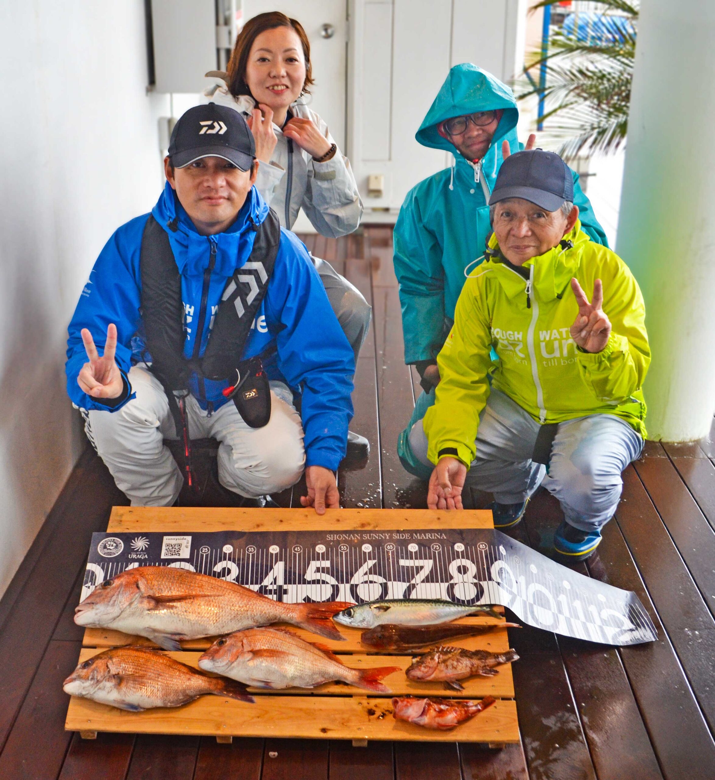 ✿マダイ・サバ・ホウボウ・カサゴ✿