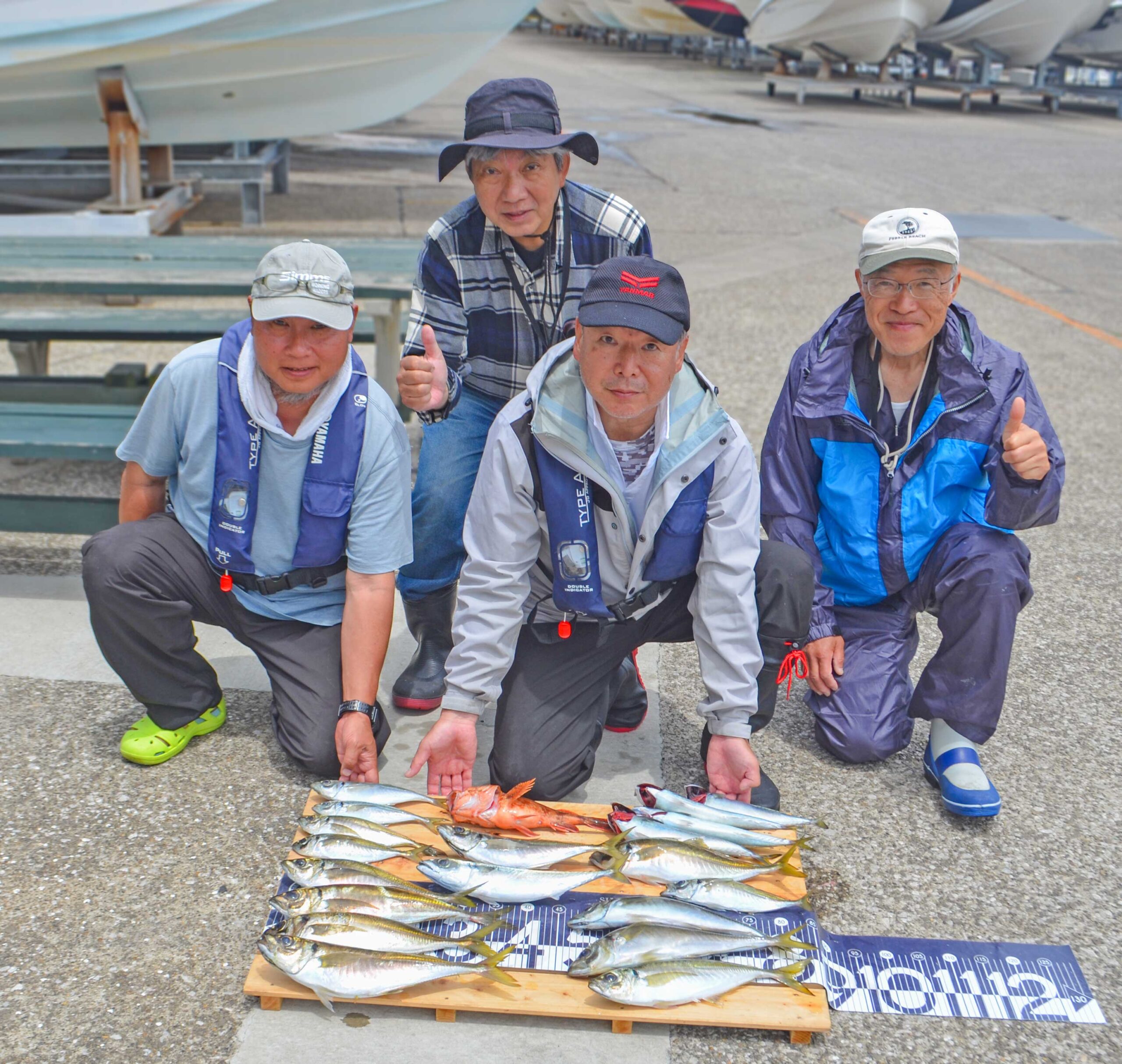 ✿アジ・サバ・カサゴ✿