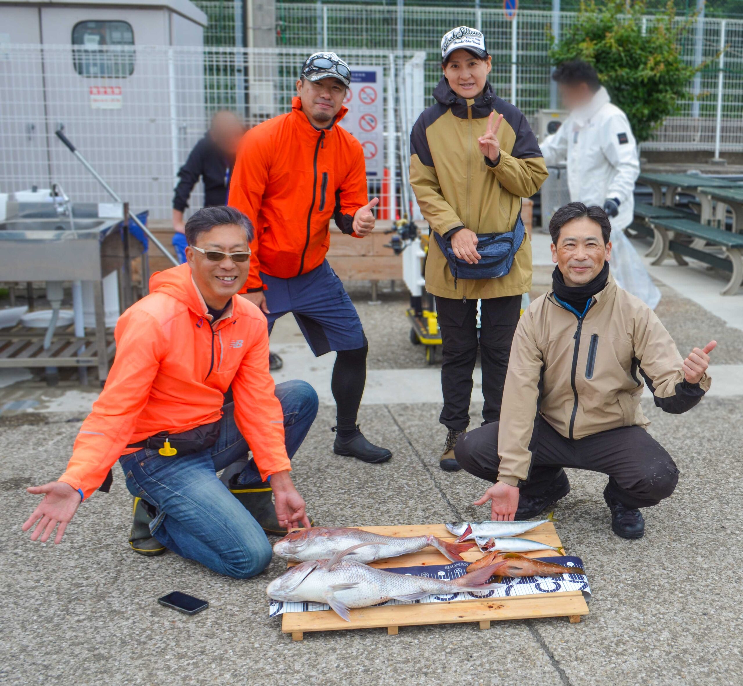 ✿マダイ・サバ・キジハタ✿