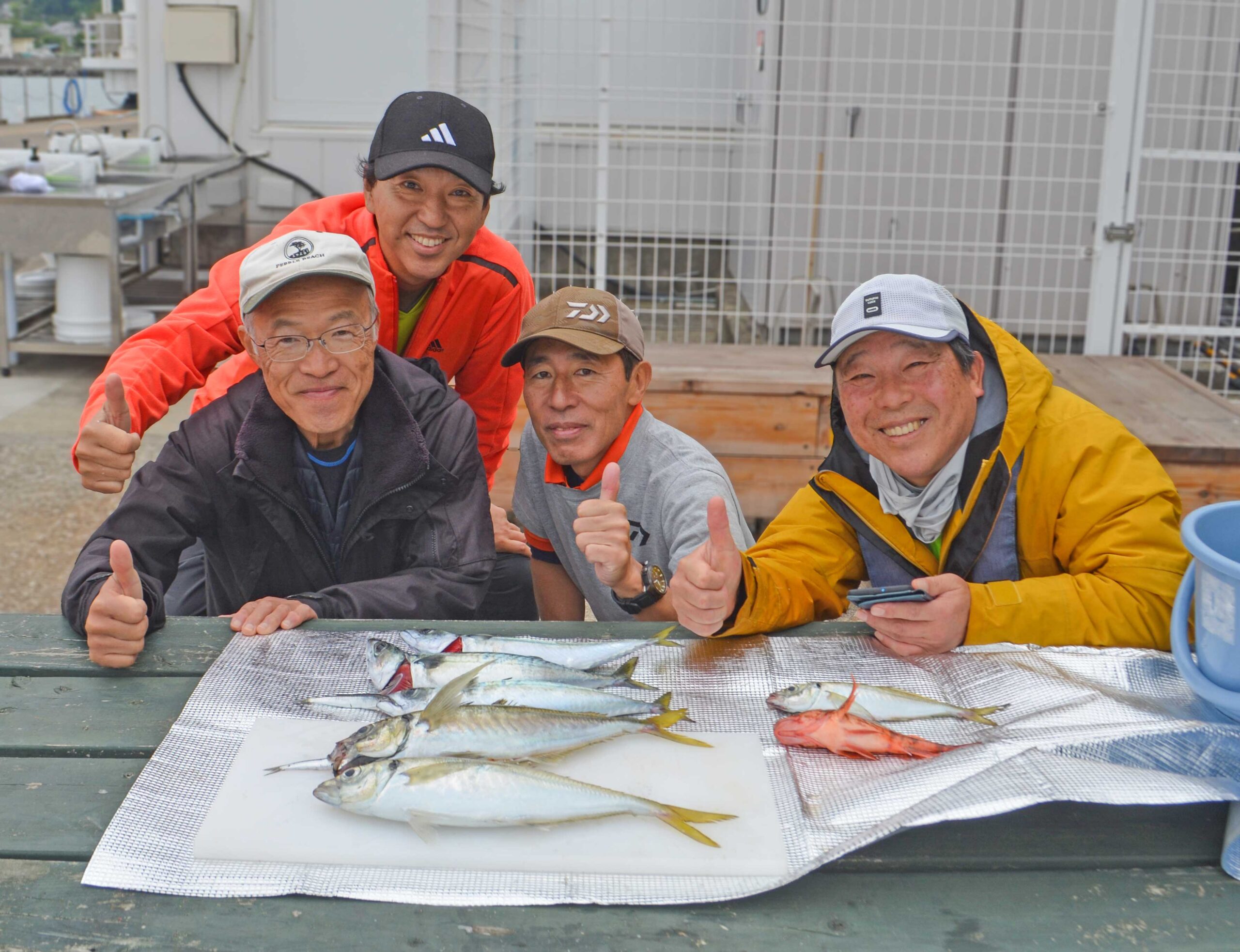 ✿アジ・サバ✿