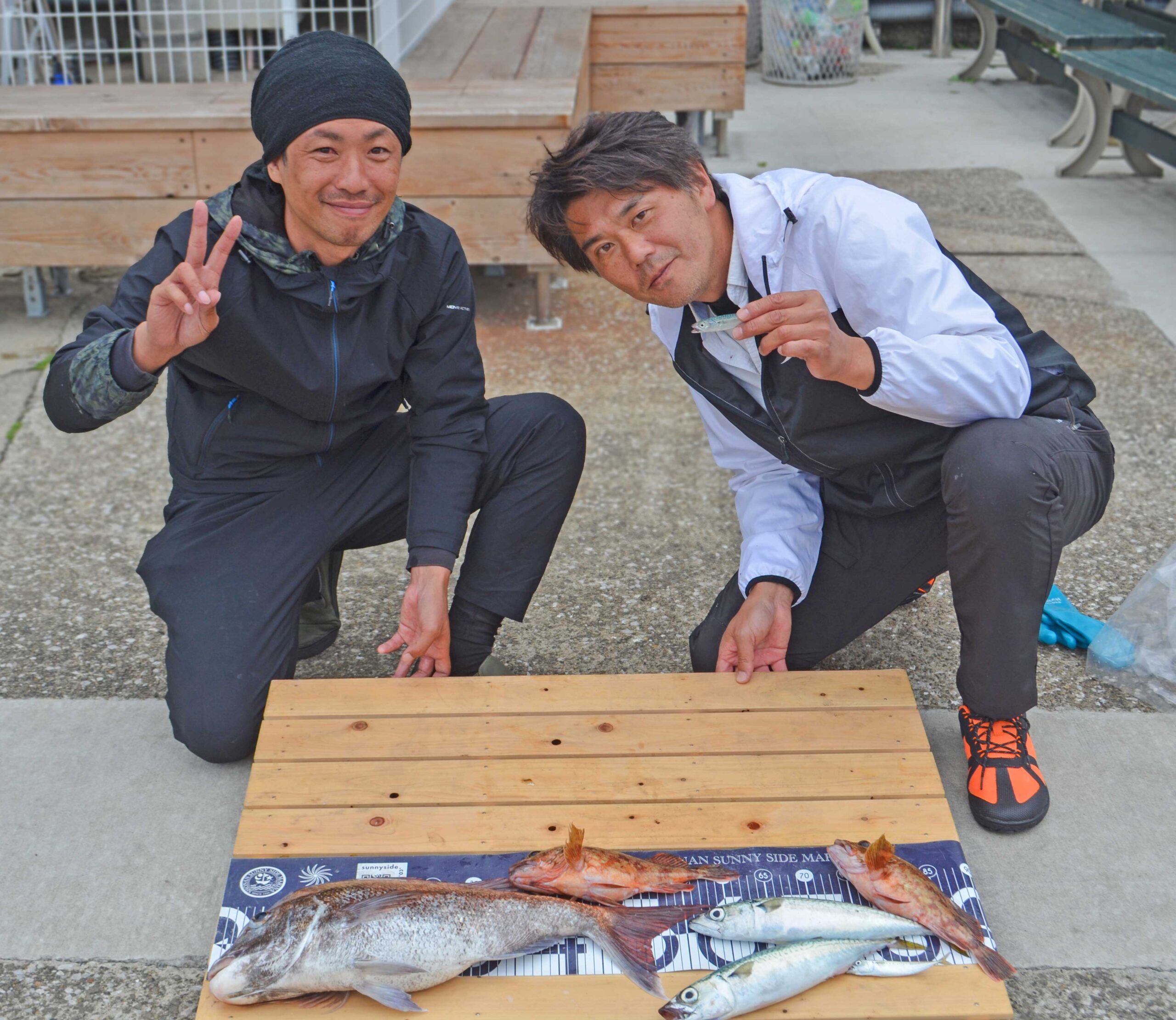 ✿マダイ・カサゴ・サバ✿