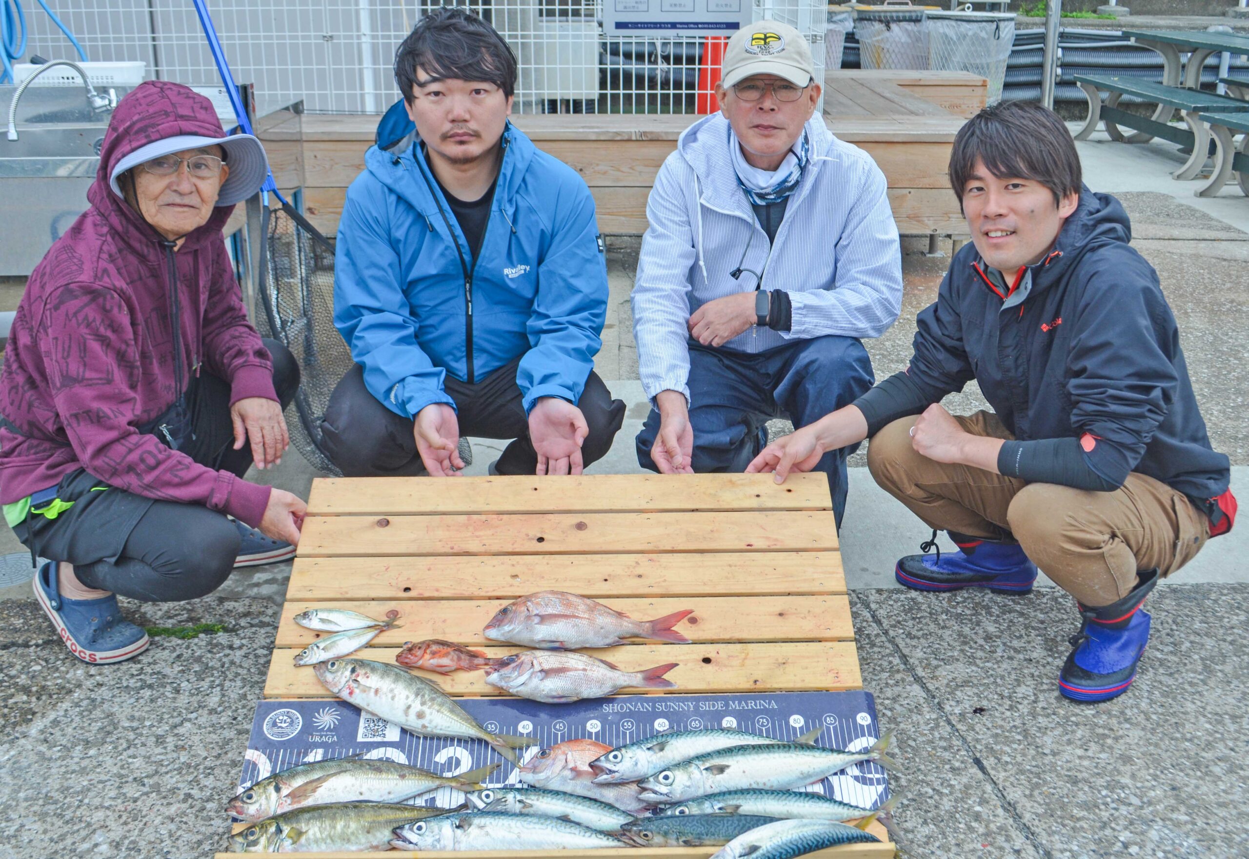 ✿マダイ・アジ・サバ・カサゴ✿