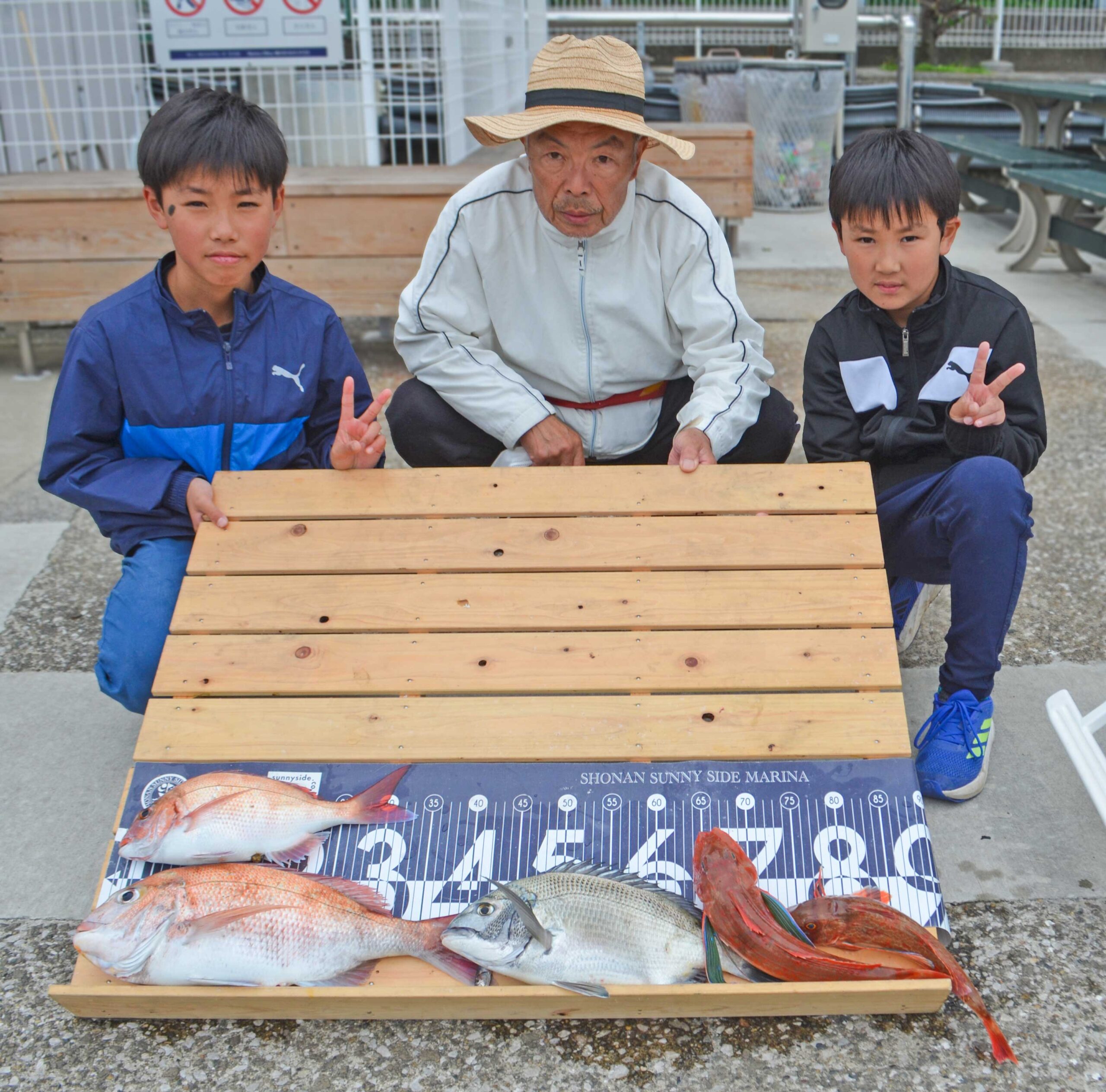 ✿マダイ・クロダイ・ホウボウ✿