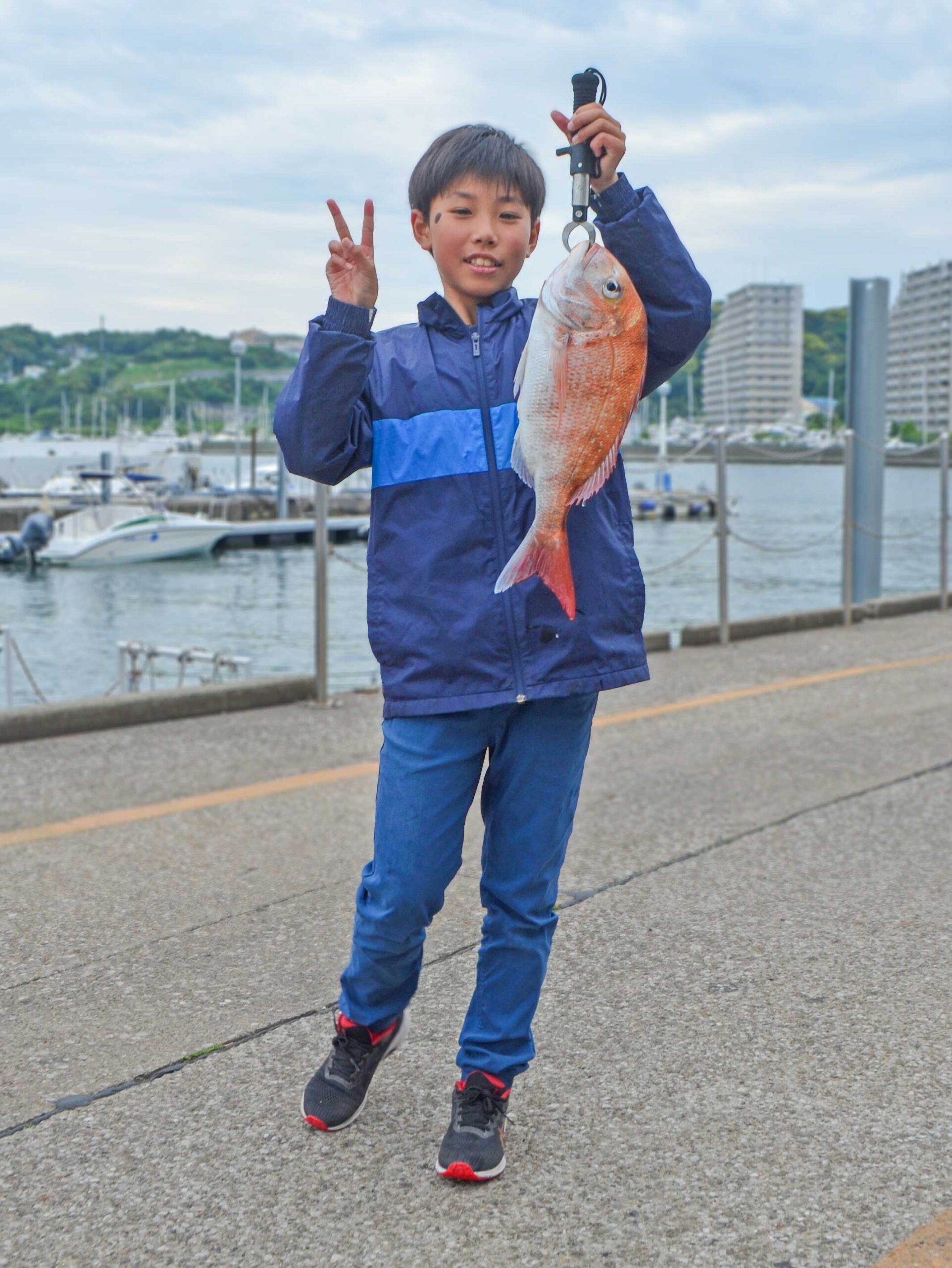 ✿マダイ・クロダイ・ホウボウ✿