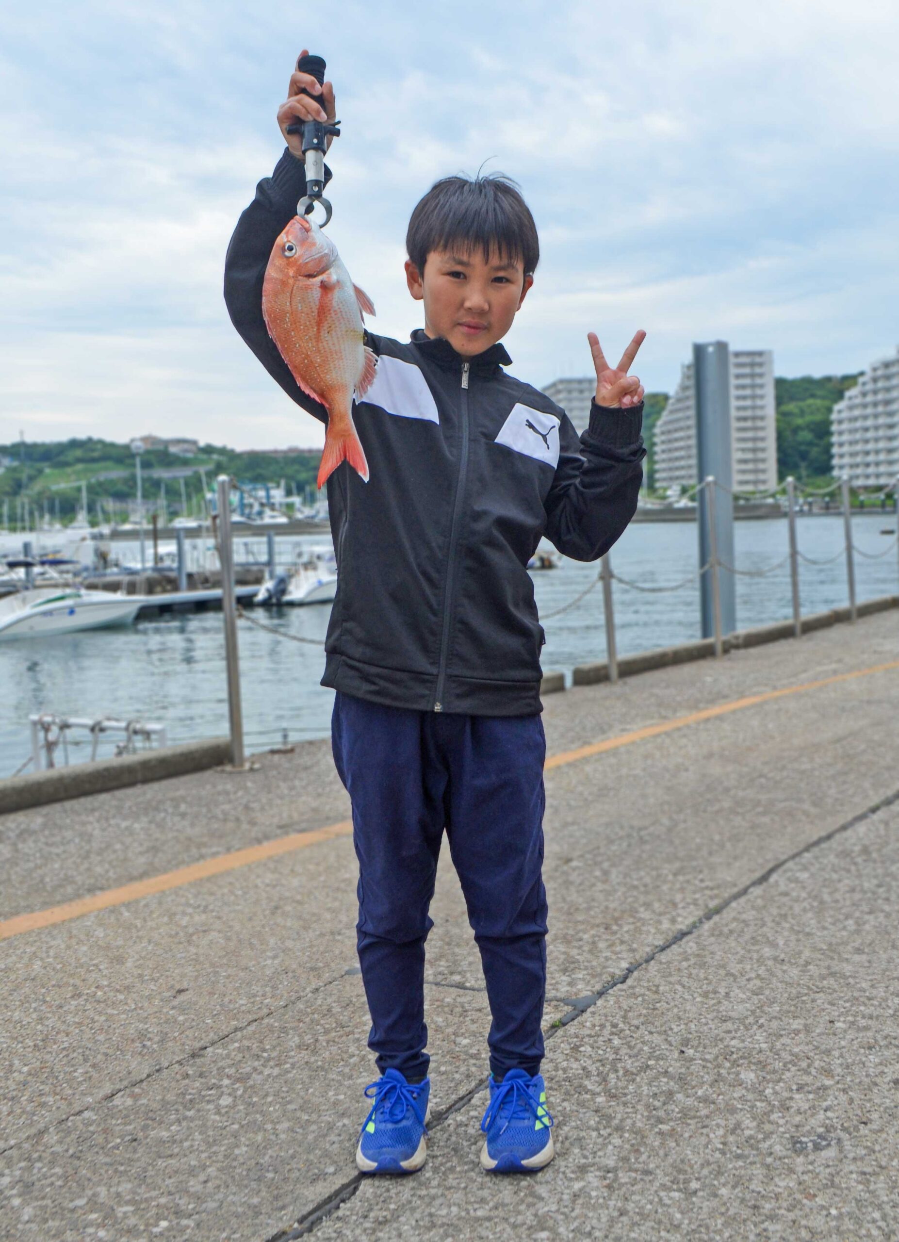 ✿マダイ・クロダイ・ホウボウ✿