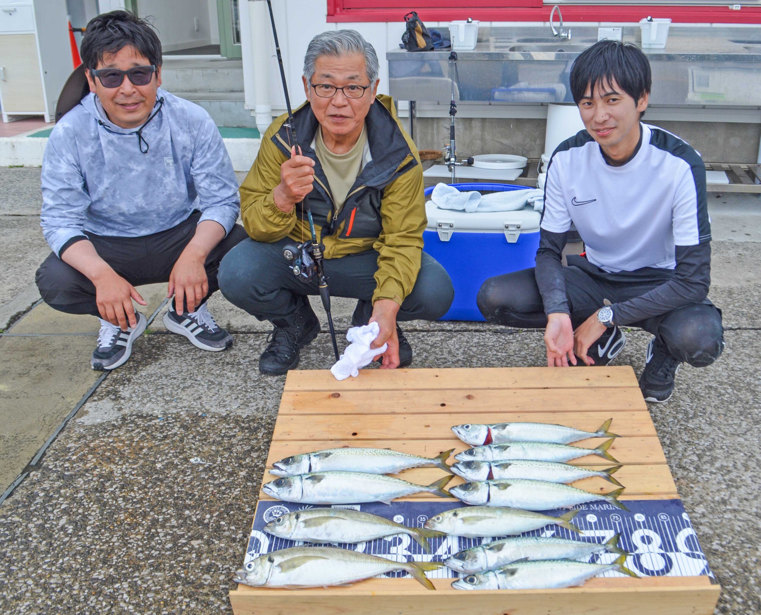 ✿アジ・サバ✿