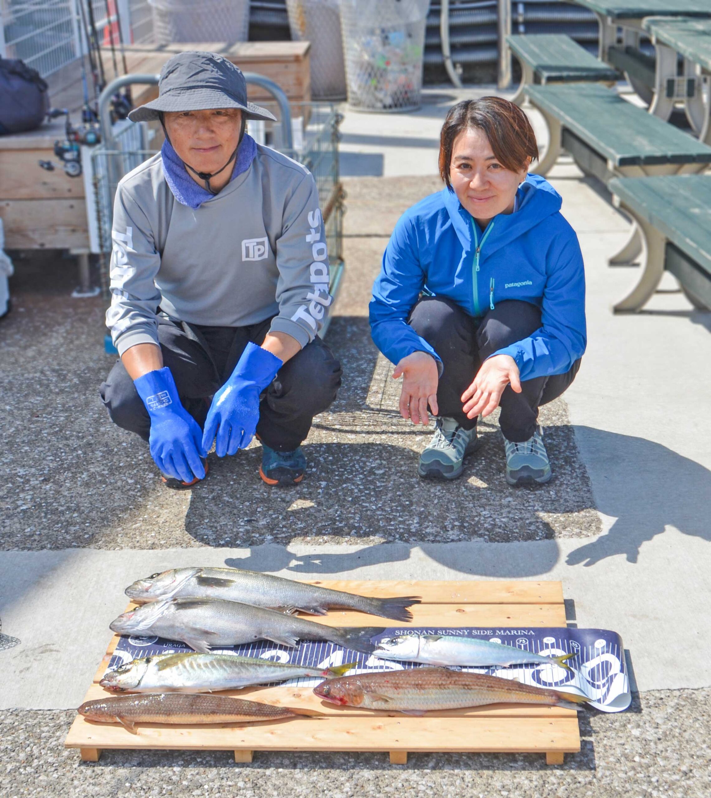 ✿アジ・シーバス・サバ・エソ✿